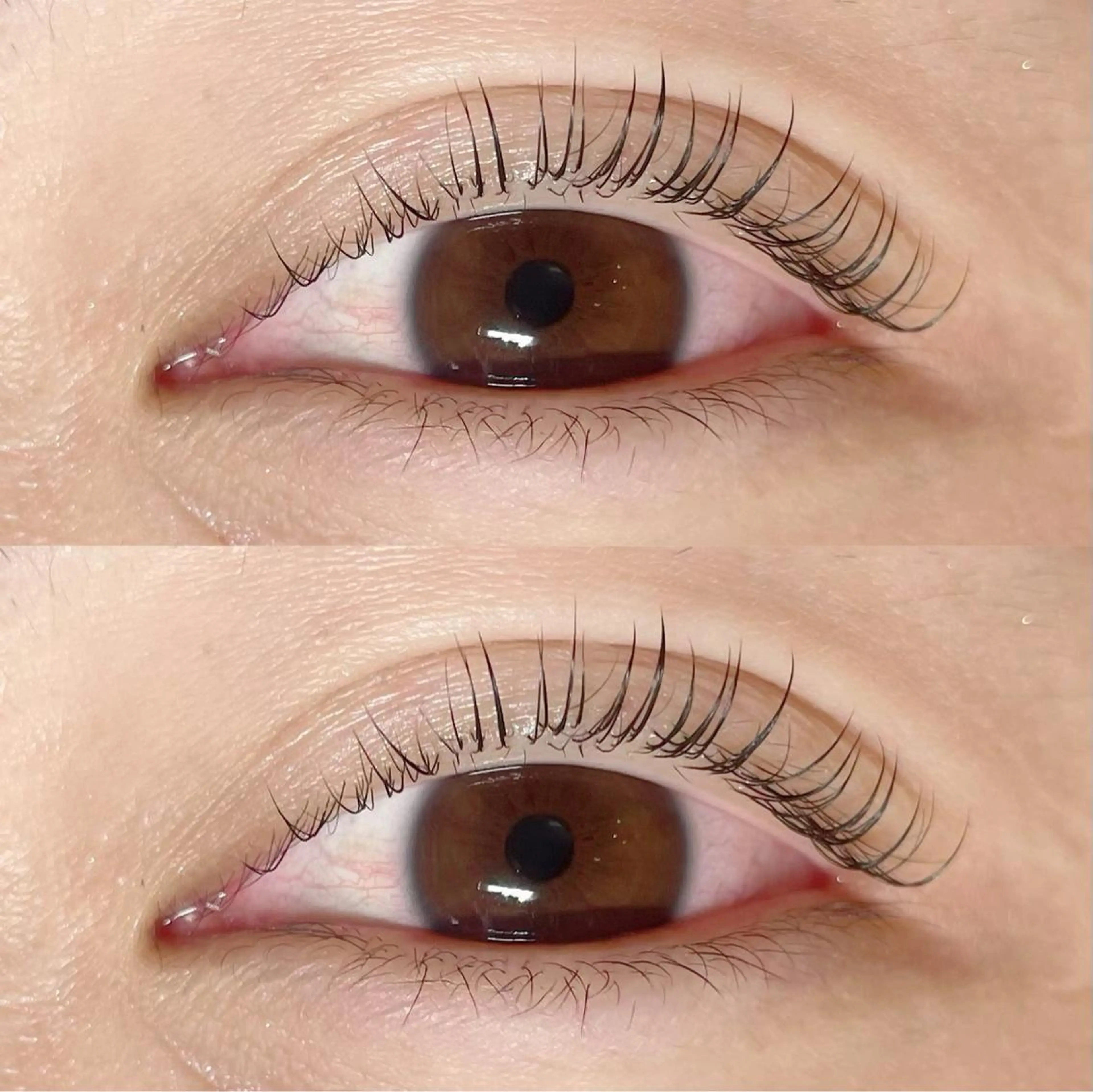 マツエク・マツパ パリジェンヌラッシュリフト Sakura - blow京橋のマツエク・マツパデザイン