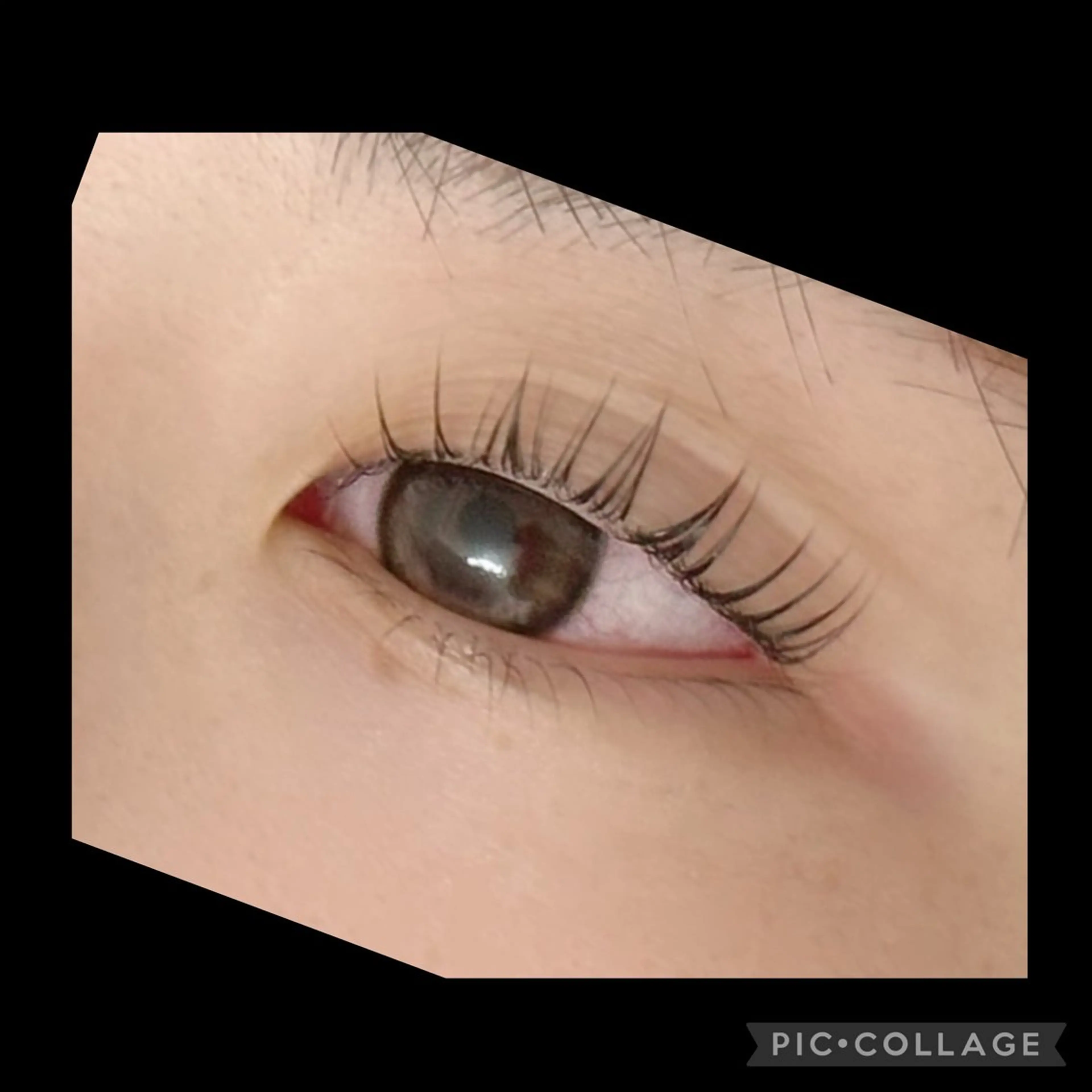 ✨【学割U24】次世代まつげパーマ❣️🥳✨の写真