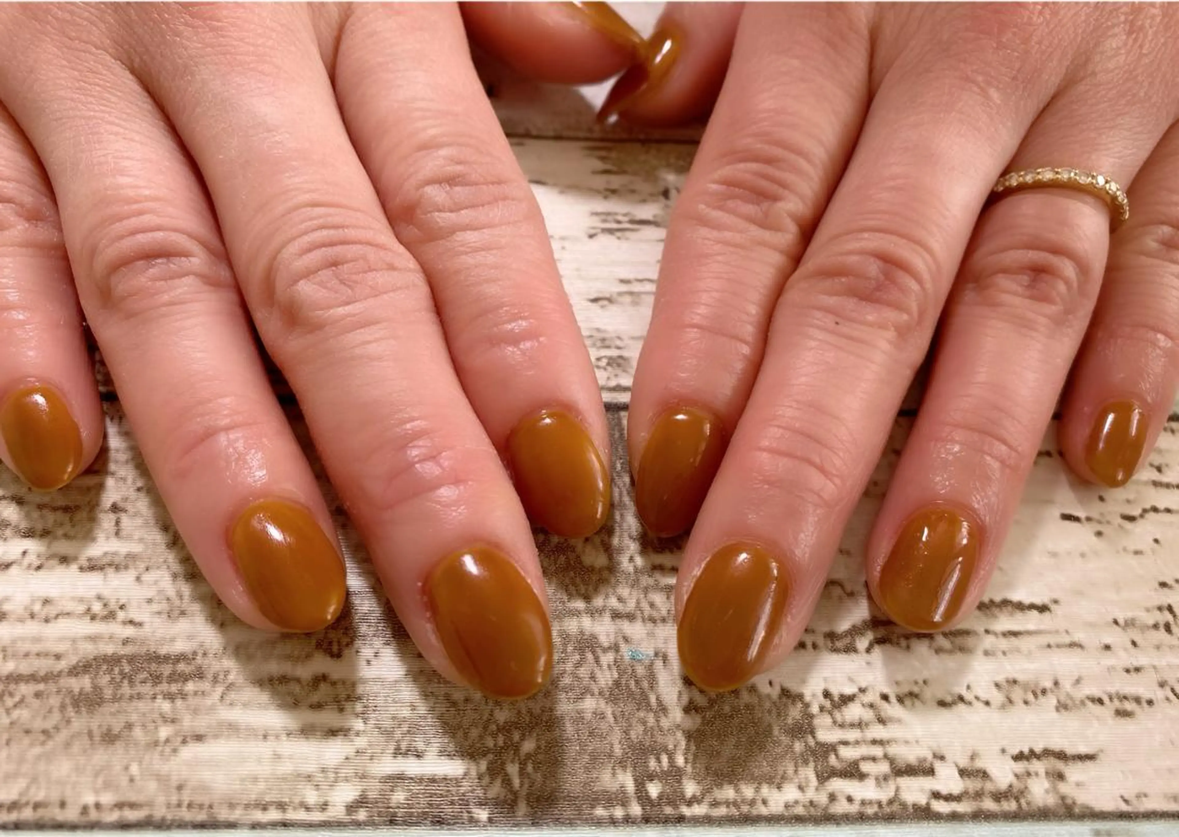 初回限定価格  ワンカラー4500円🐱🐶の写真