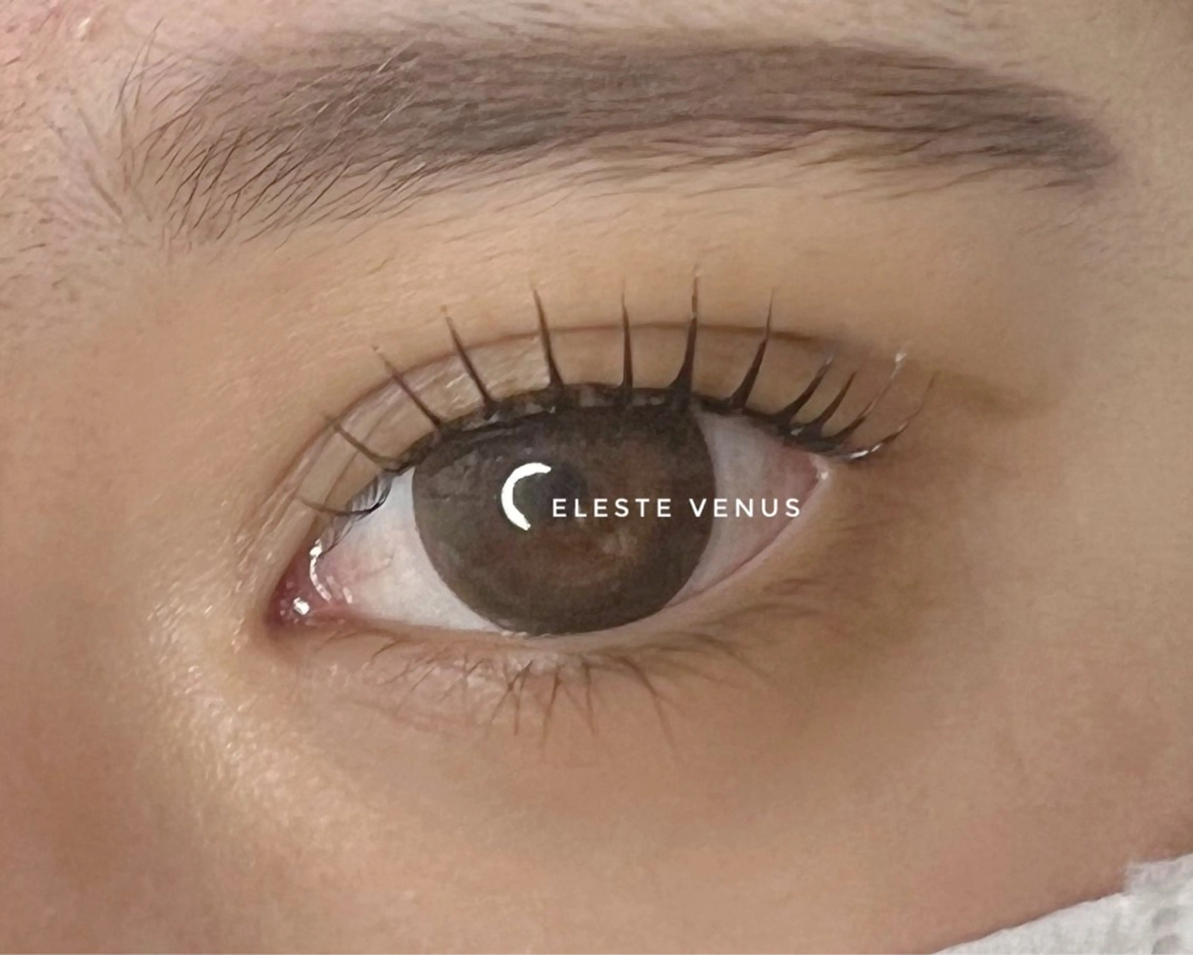 マツエク・マツパ 韓国風マツエク Celeste Venus所属・🧸Celeste Venusのマツエク・マツパデザイン