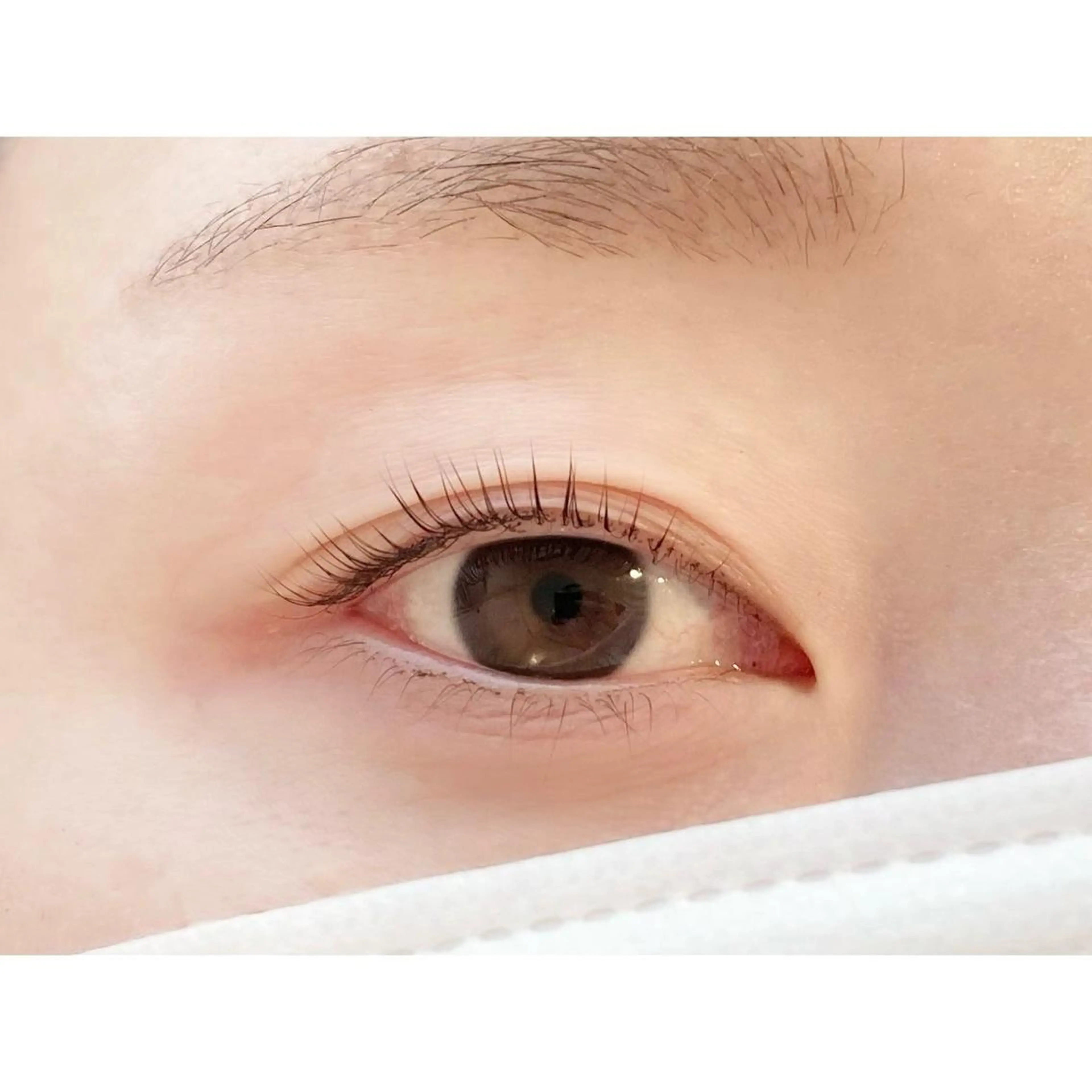 マツエク・マツパ フラットラッシュ パリジェンヌラッシュリフト 下まつげエクステ マツパ salon de beauteJoieの眉毛・アイブロウイメージ