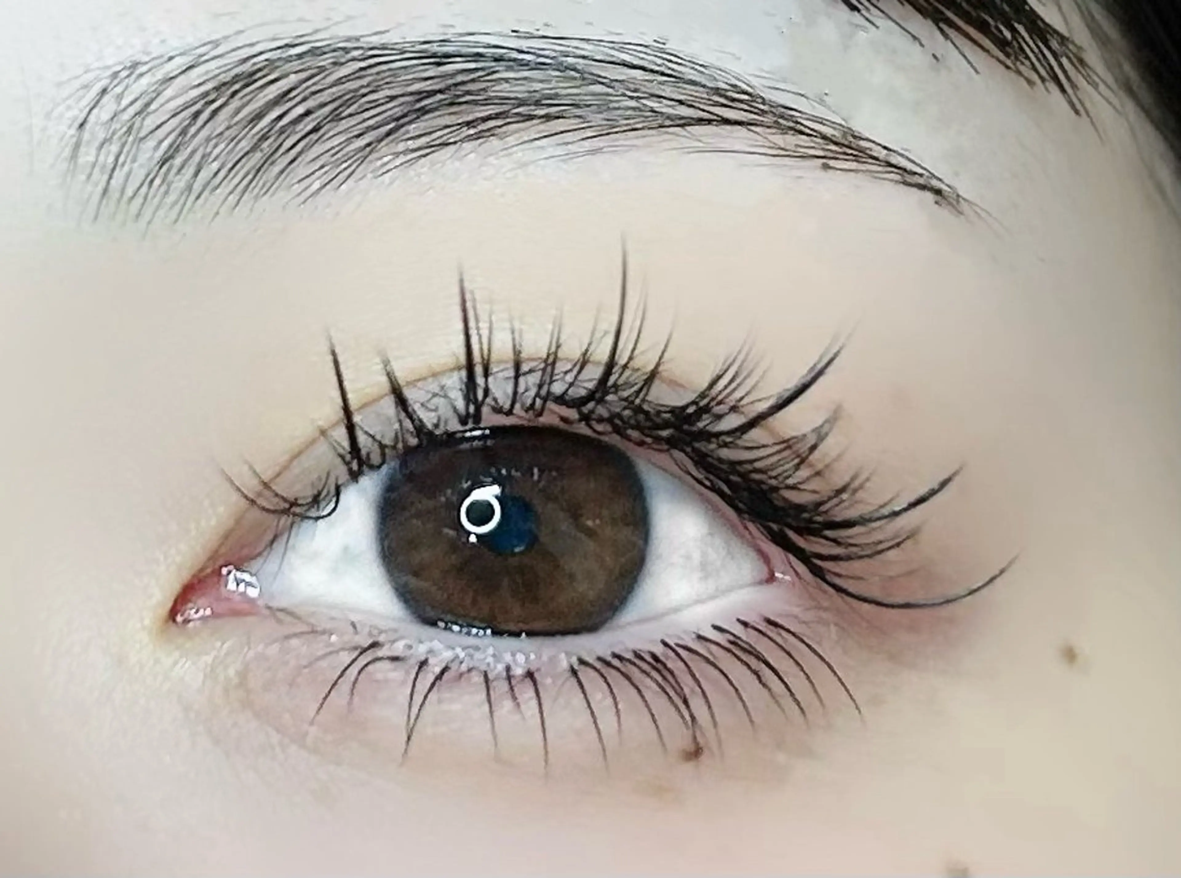 中国で大人気♡ワンホンマツエクデザイン🇨🇳60分付け放題＋下まつげ30分付け放題の写真