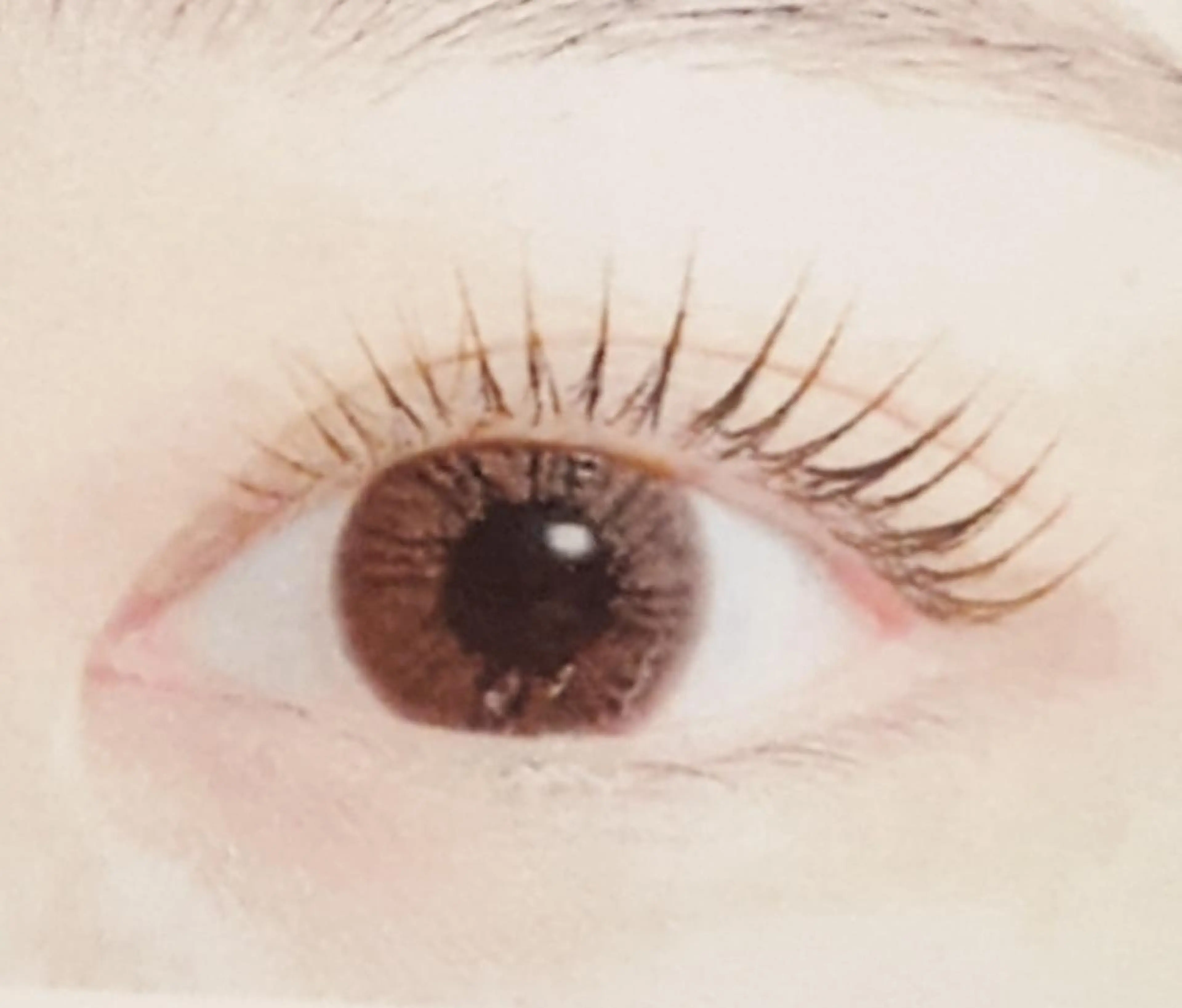 マツエク・マツパ パリジェンヌラッシュリフト 服部 祐美子のマツエク・マツパデザイン