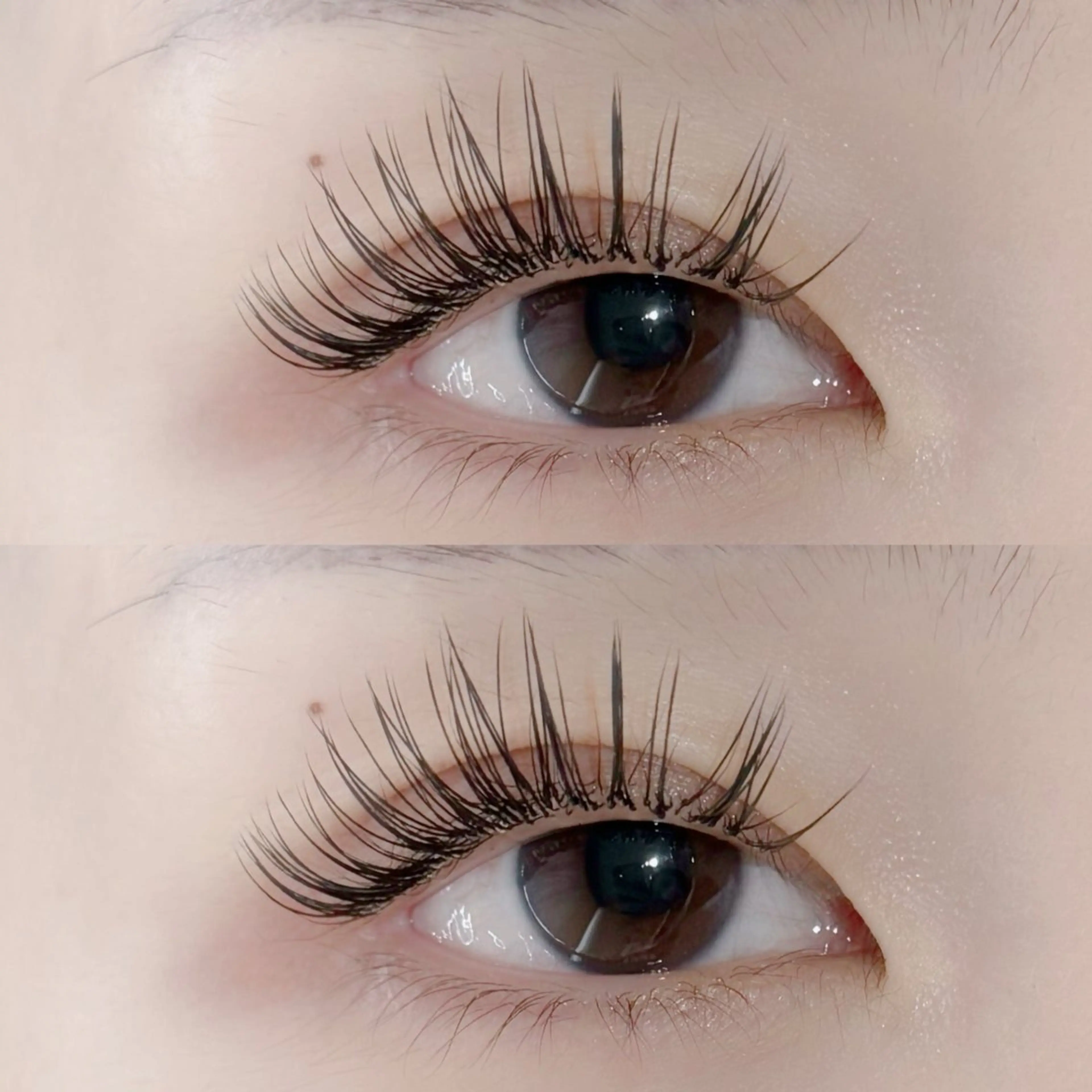 【オフ込み】🤍最先端･高持続＆密着🤍LEDフラットラッシュエクステ140本🌼の写真