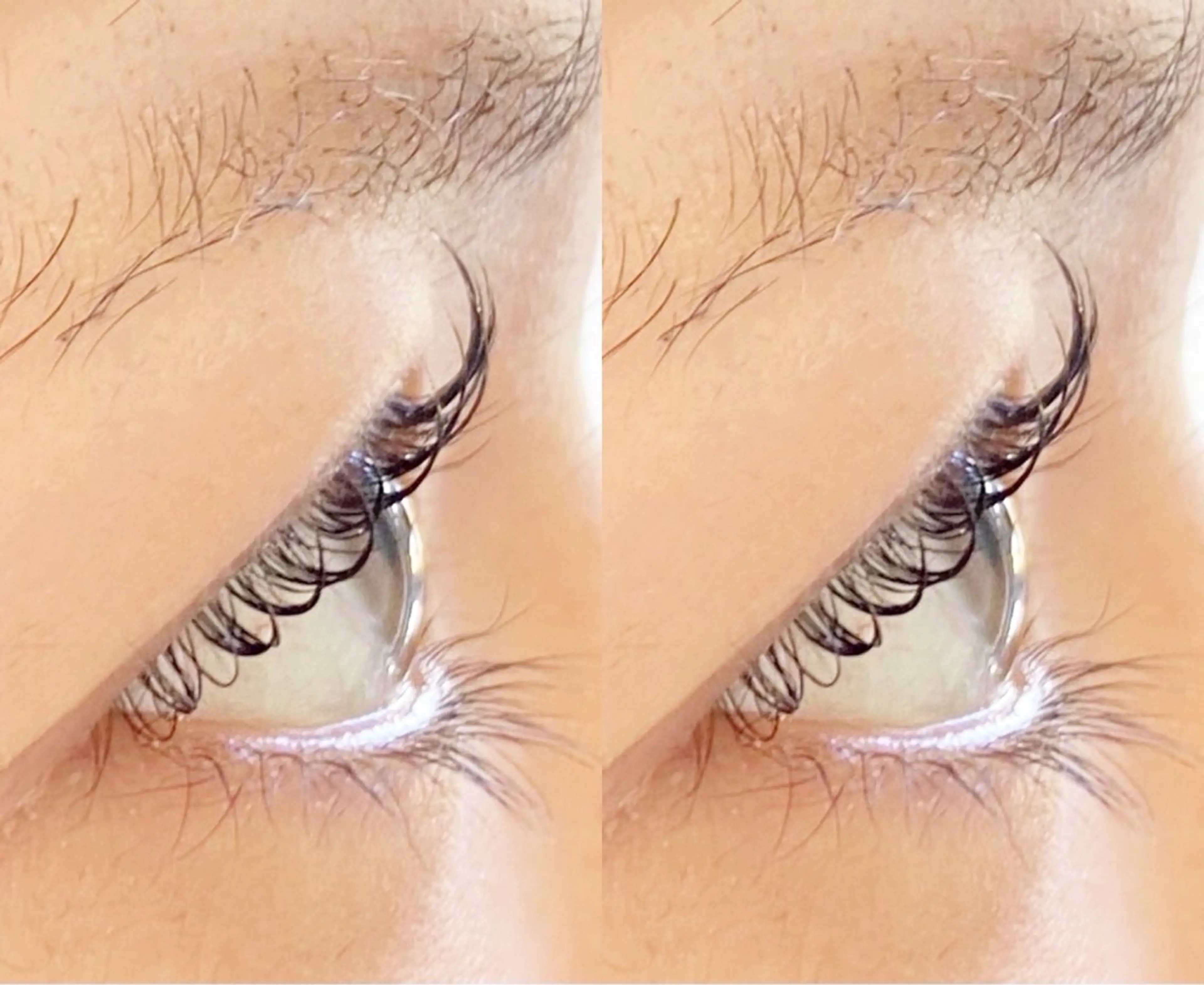 マツエク・マツパ マツパ JolieWithe 綾瀬店のマツエク・マツパデザイン