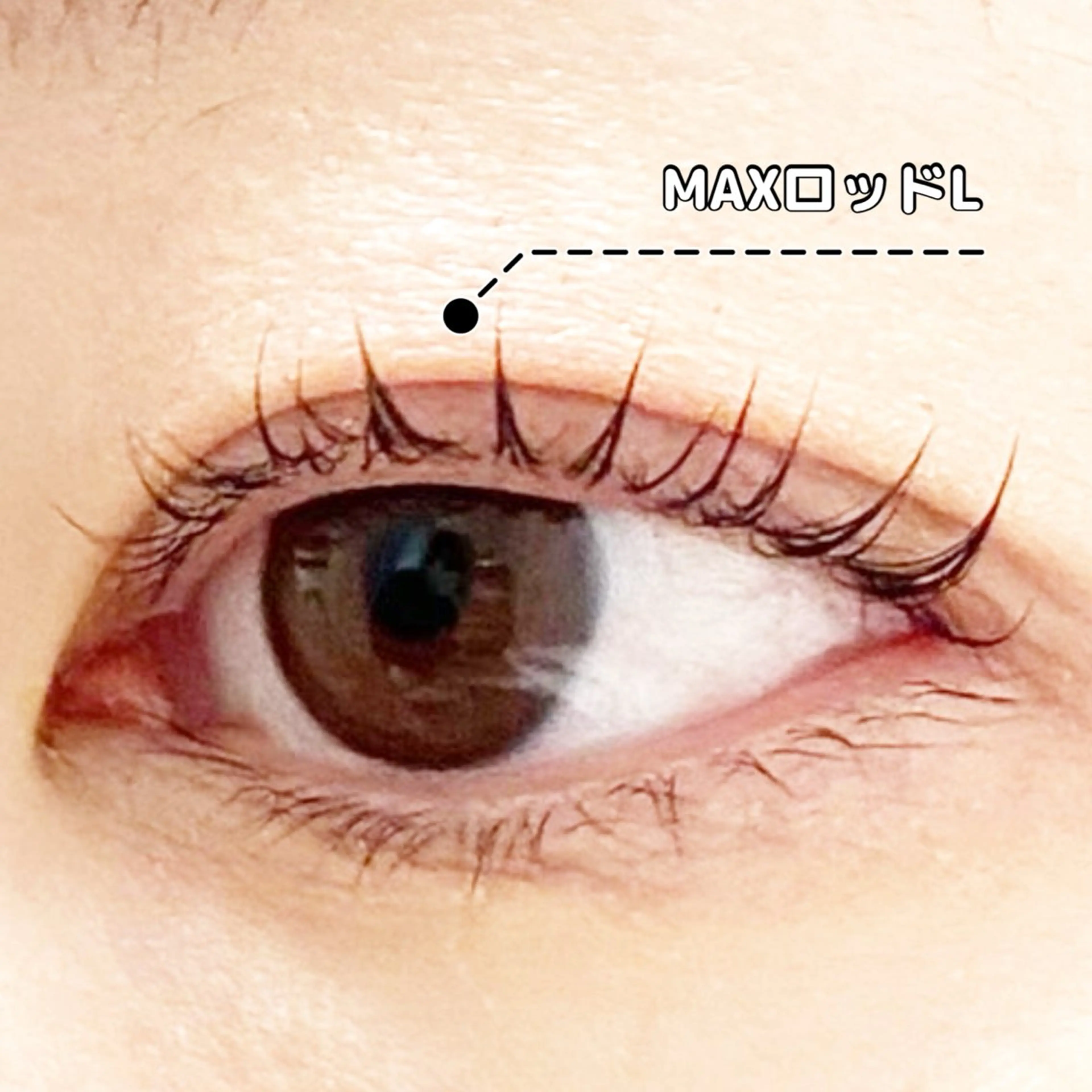 マツエク・マツパ LC尾張旭店所属・LC尾張旭店🫧 いしいのマツエク・マツパデザイン