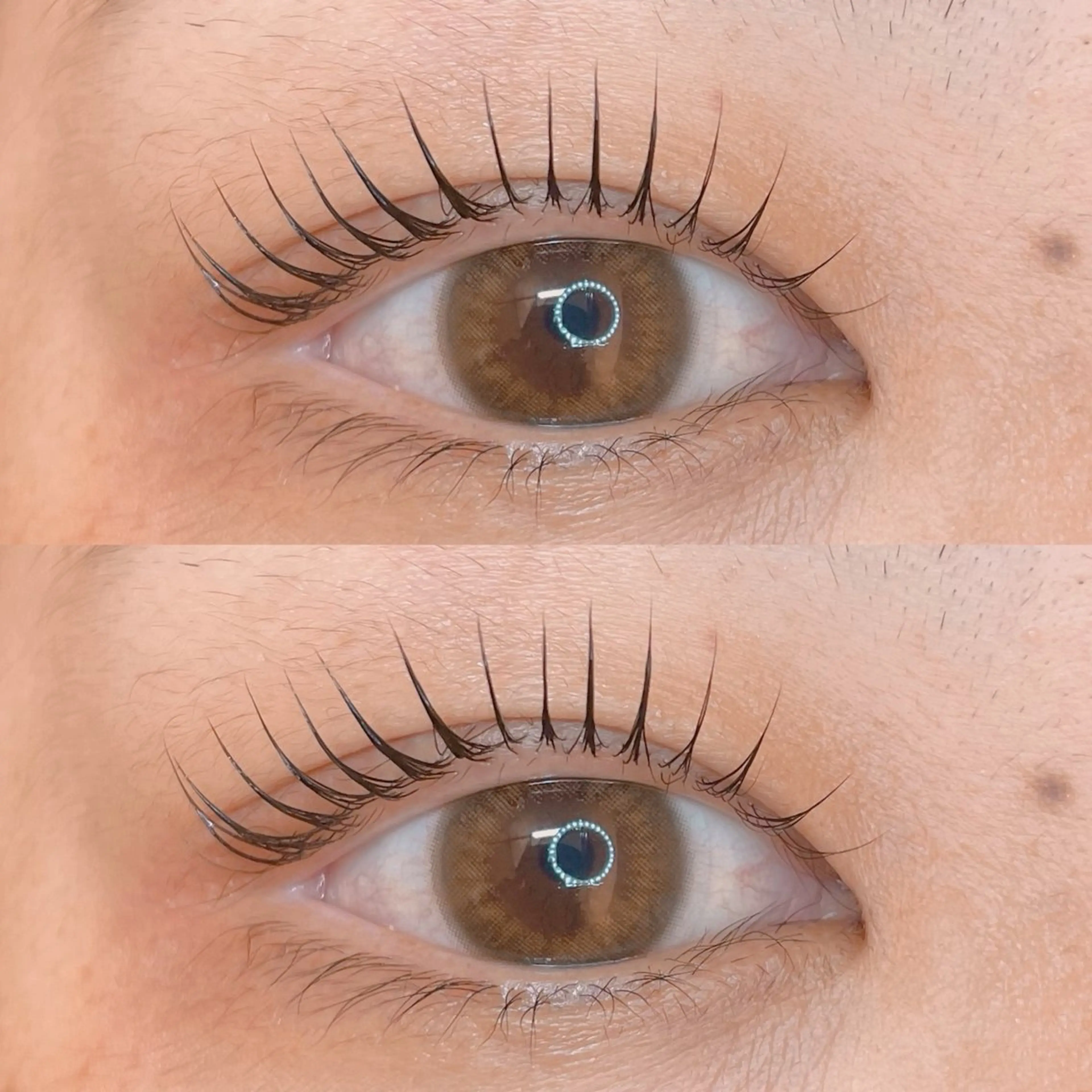 🤎パリジェンヌラッシュリフト🤎の写真