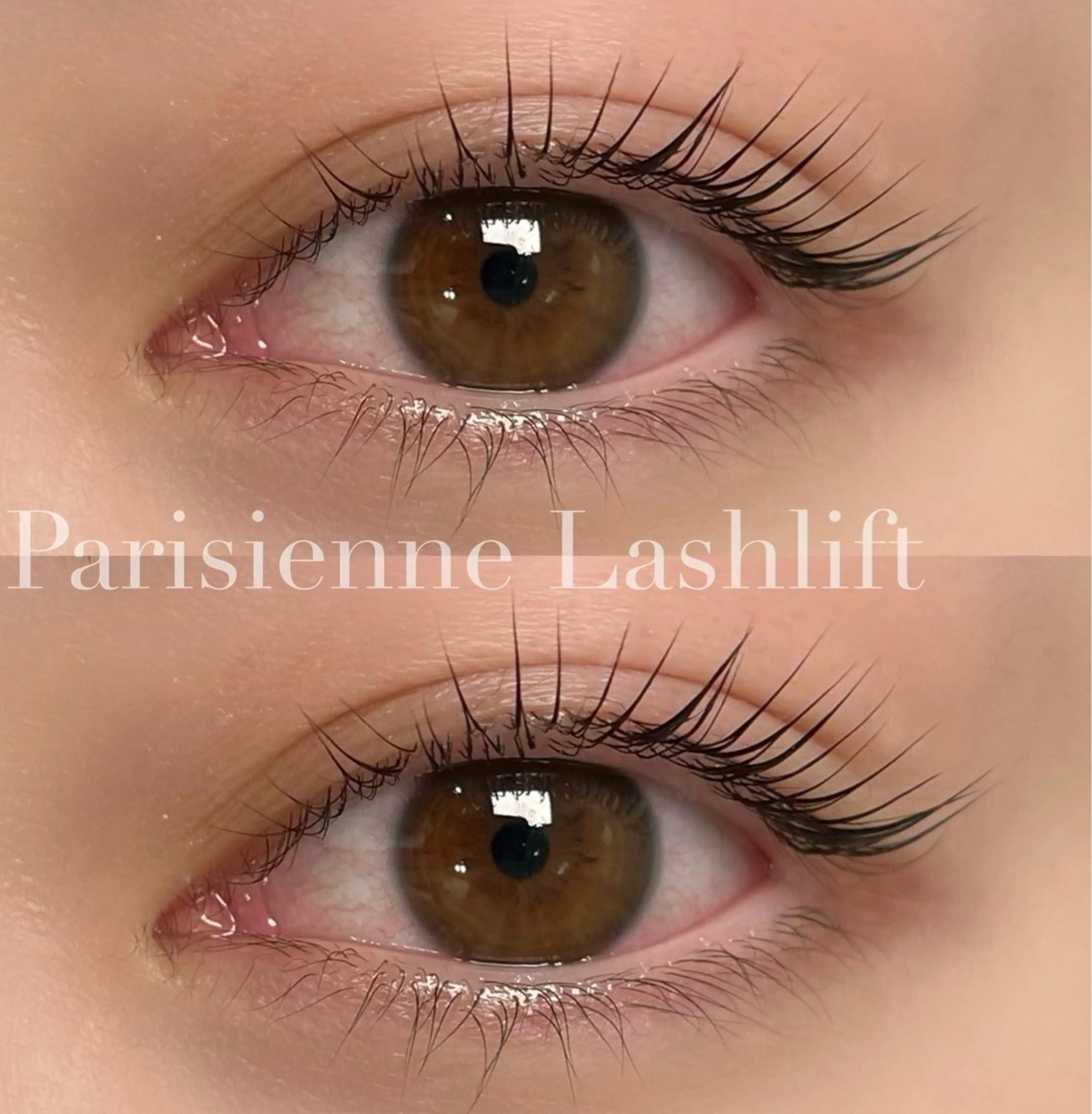 【ミニモ限定💗】中観面短縮で小顔効果✨上下ダメージレスまつ毛パーマラッシュリフト‪ 🌸+コーティング付✨の写真