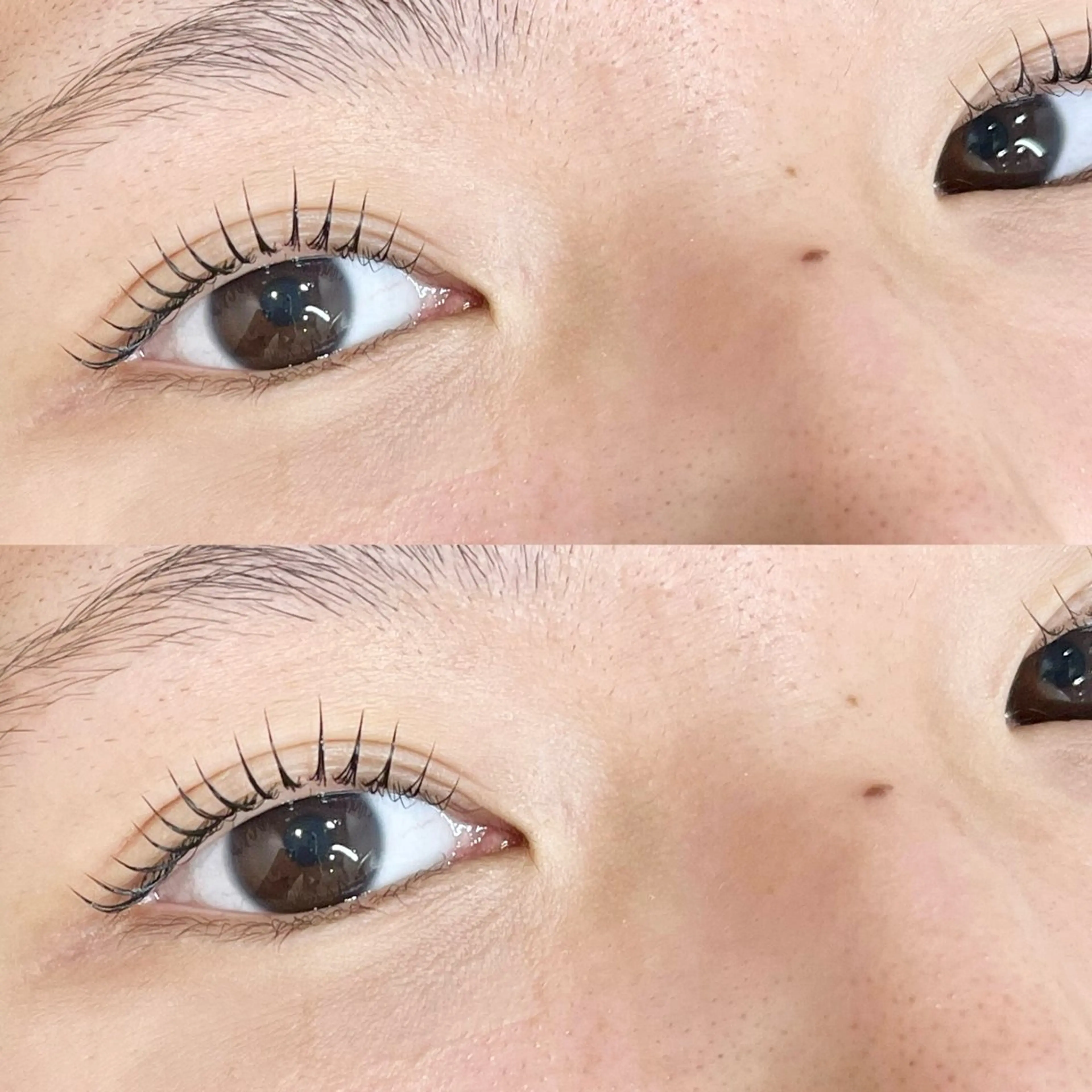 デザイン選べるまつ毛パーマ👀✨💕技術向上のためモデルさん募集中🫧の写真