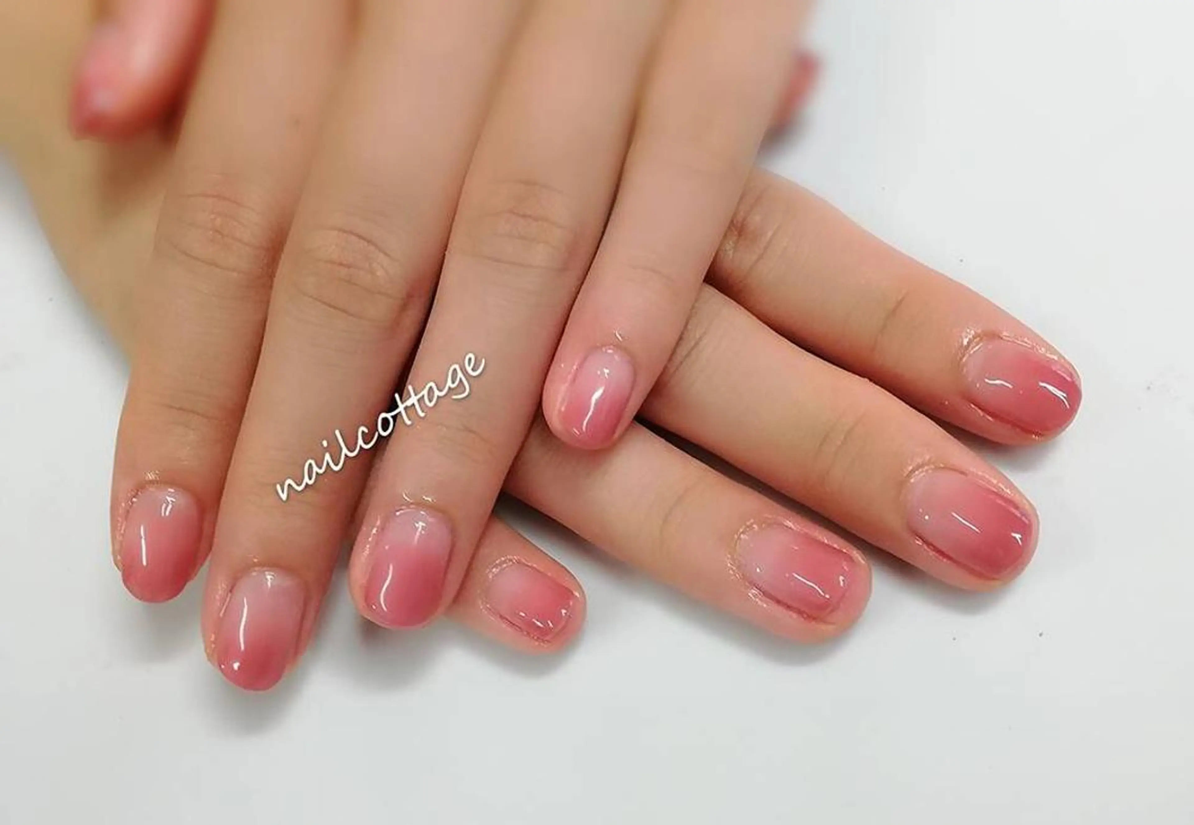 ネイル フレンチネイル グラデーション ワンカラーネイル Nail cottageのネイルデザイン