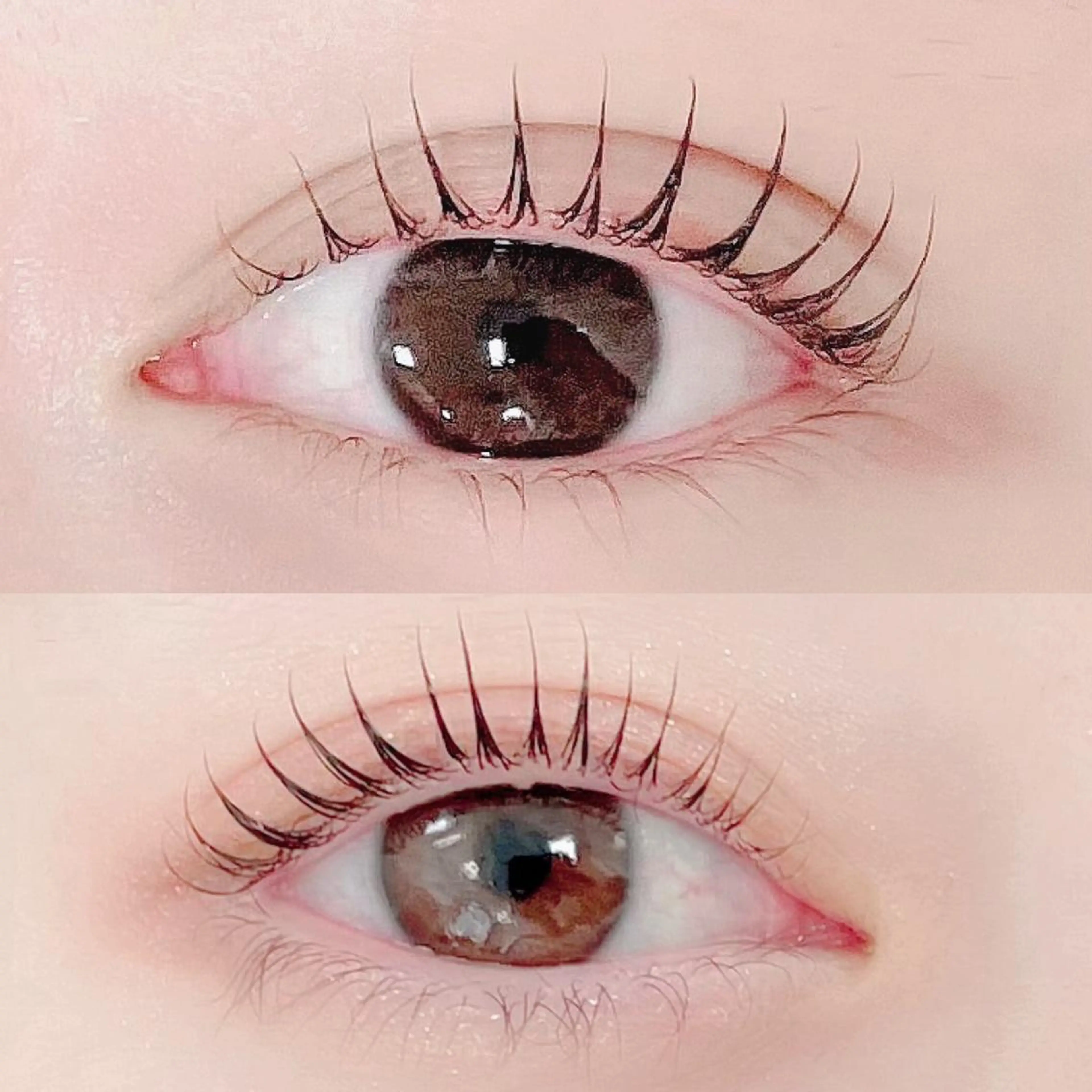 マツエク・マツパ 束感まつ毛 ワンホンマツエク マツパ FASTLASH🌹 パリジェンヌのマツエク・マツパデザイン