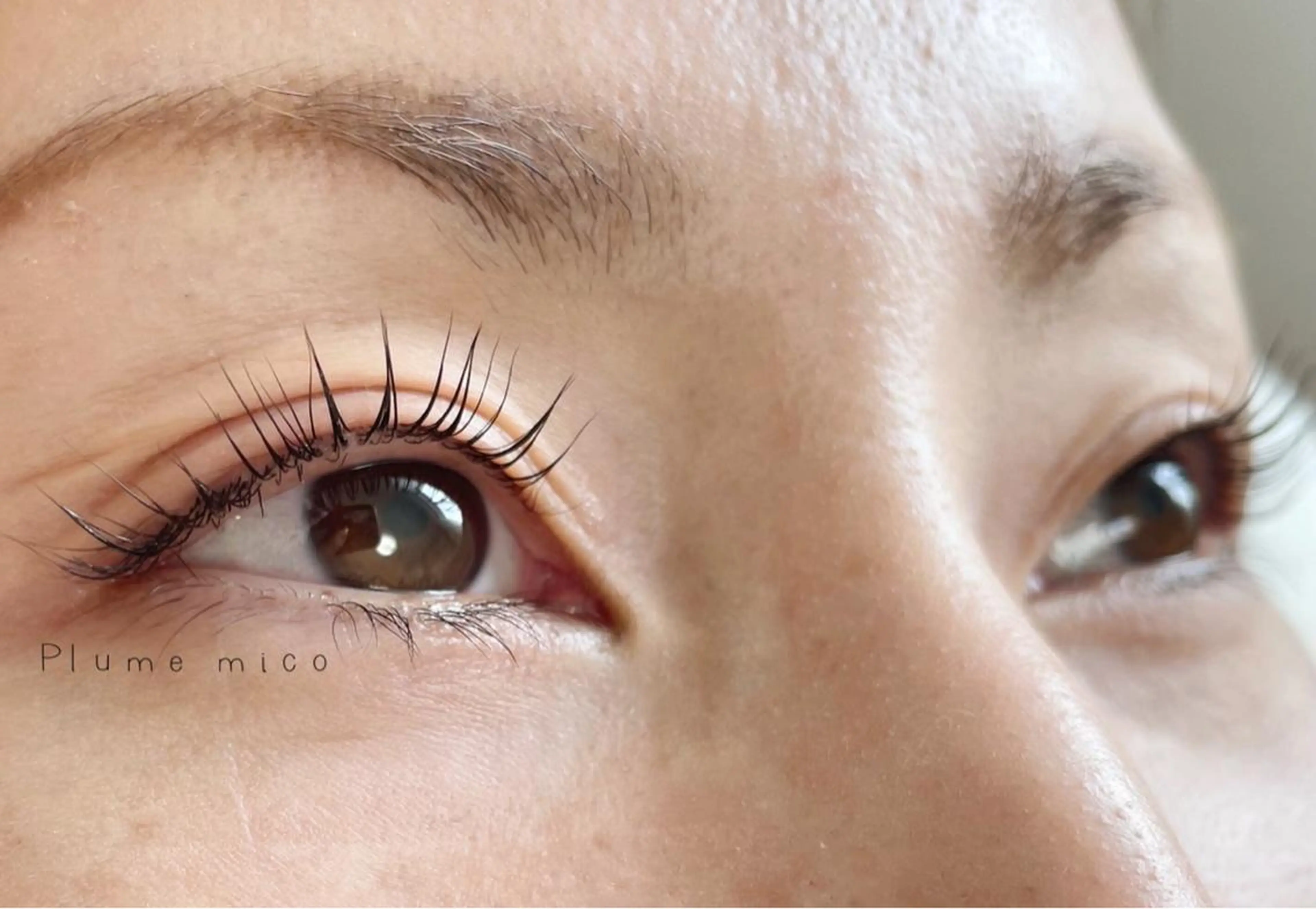 マツエク・マツパ マツパ Plume micoのマツエク・マツパデザイン