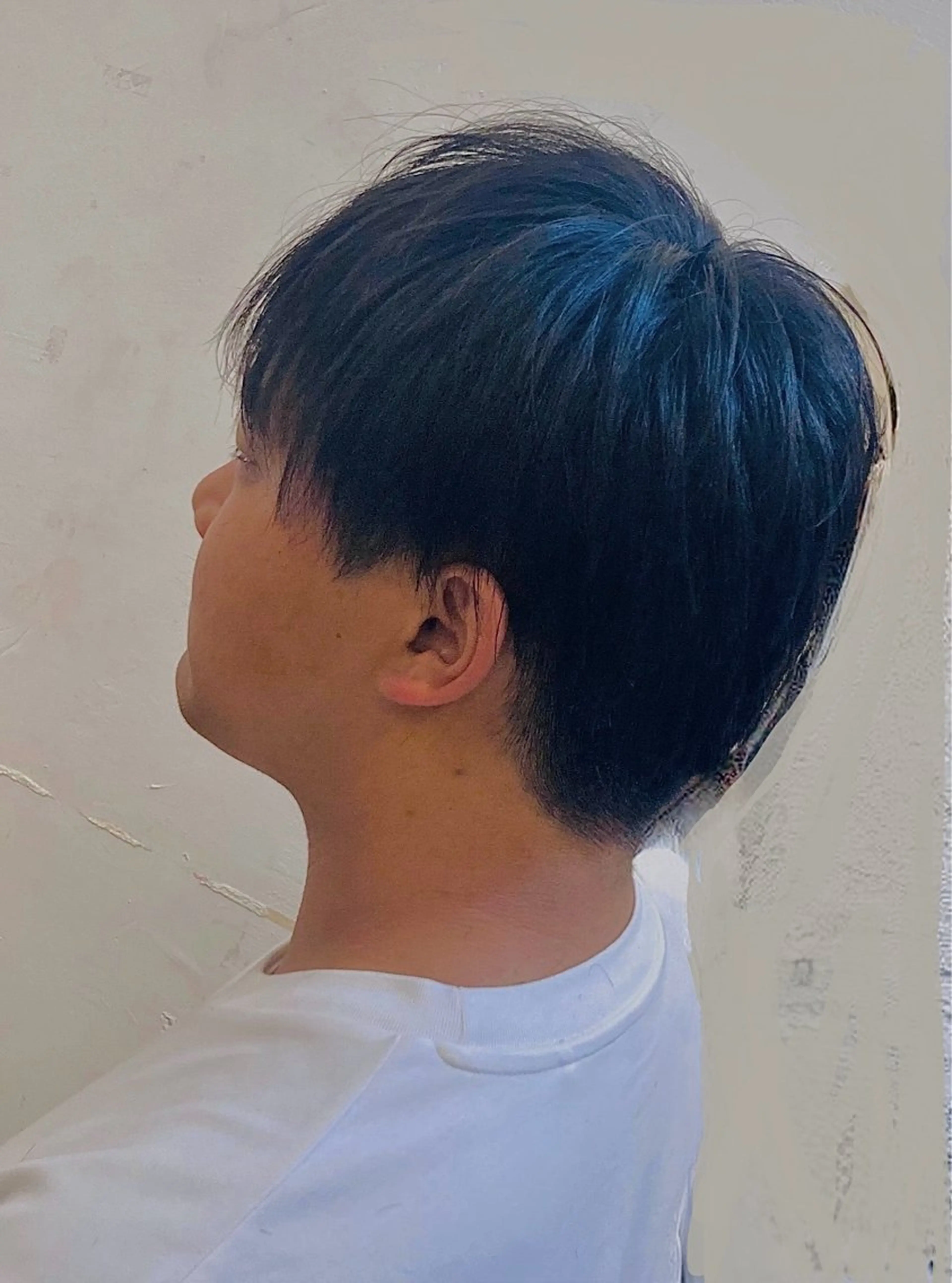 メンズ 透明感カラー 🐺黛杏香🐺のヘアスタイル