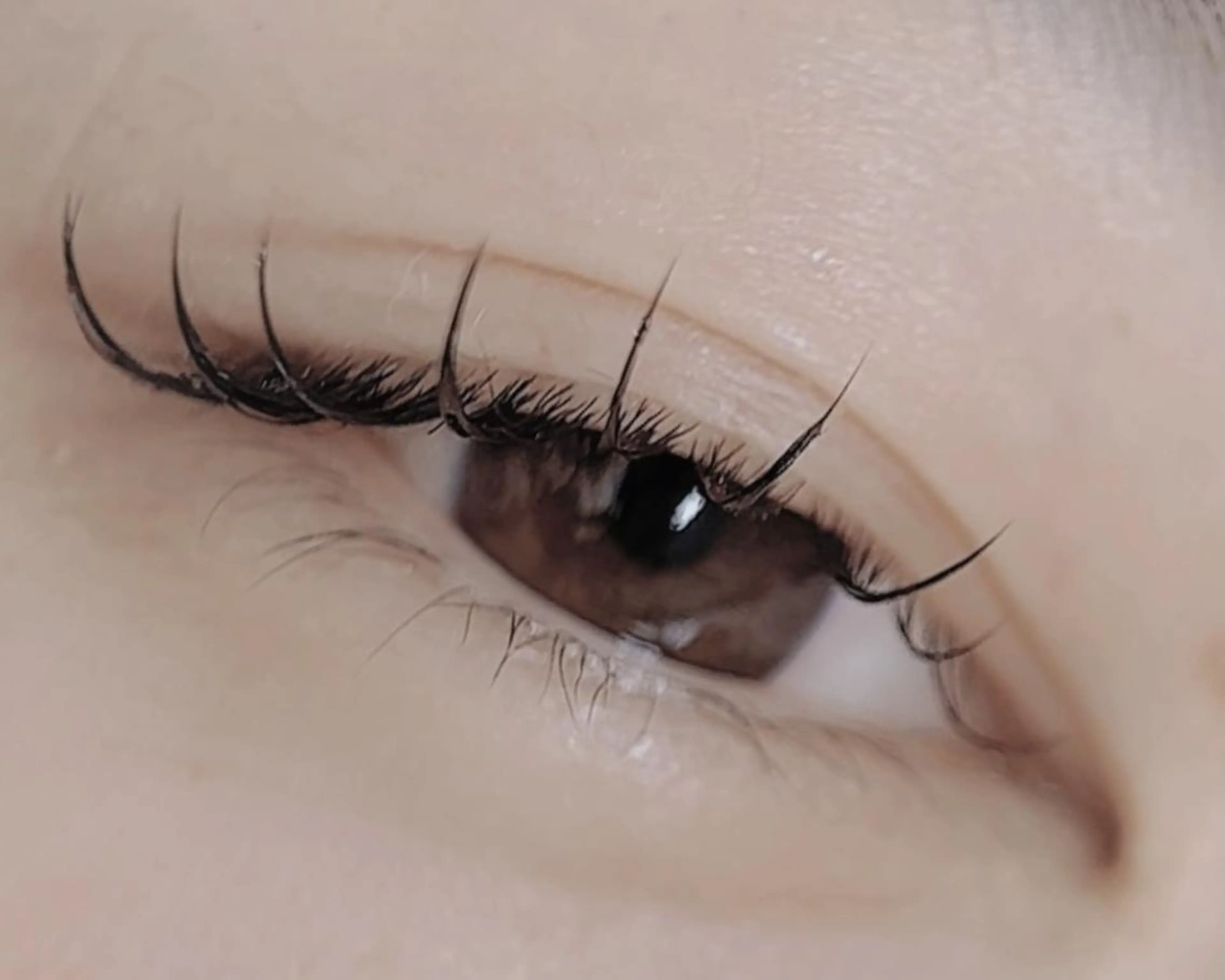 マツエク・マツパ 21時まで営業/金山 眉毛/脱毛/まつぱのマツエク・マツパデザイン