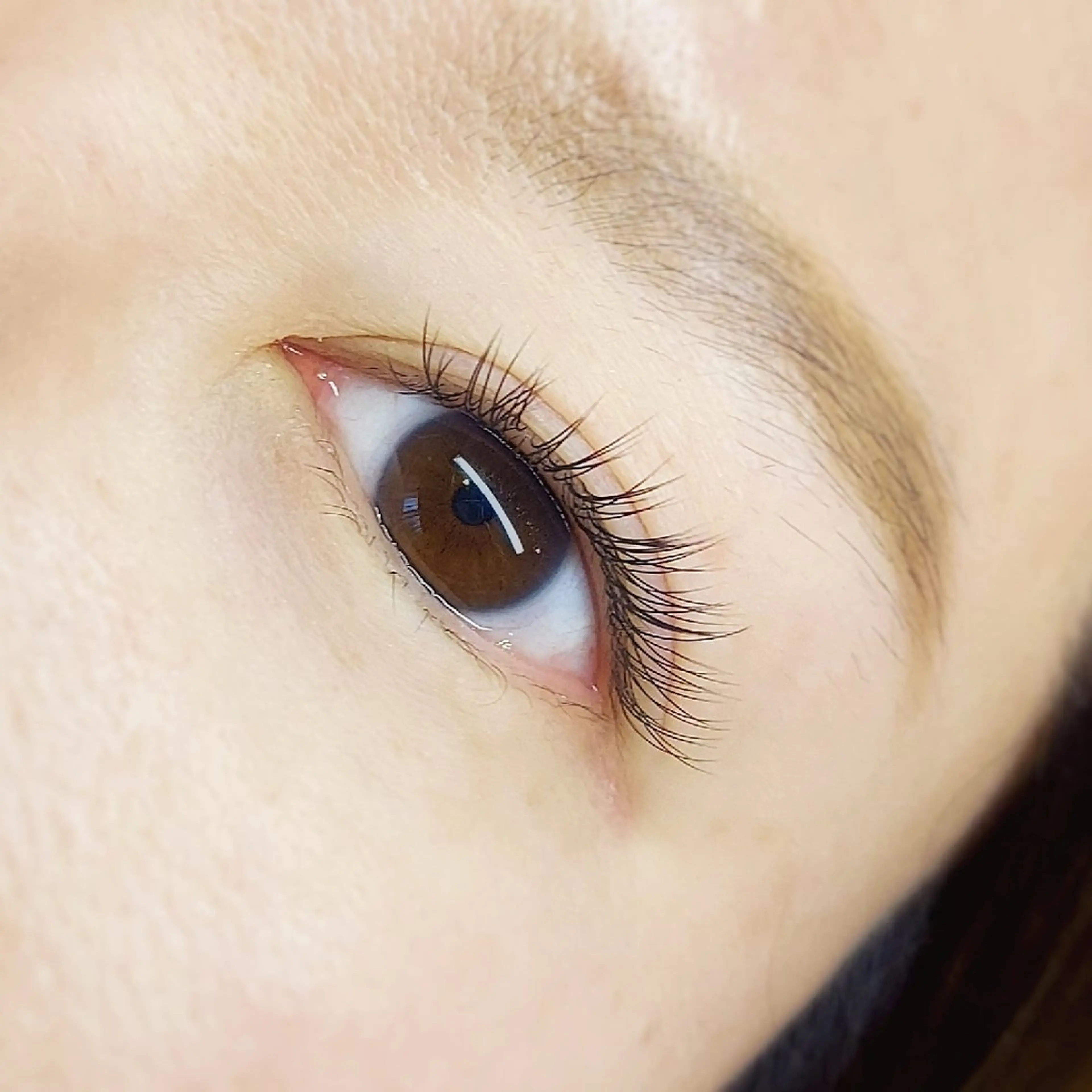 マツエク・マツパ フラットラッシュ U_la所属・U_la [ウーラ] 片岡の眉毛・アイブロウイメージ