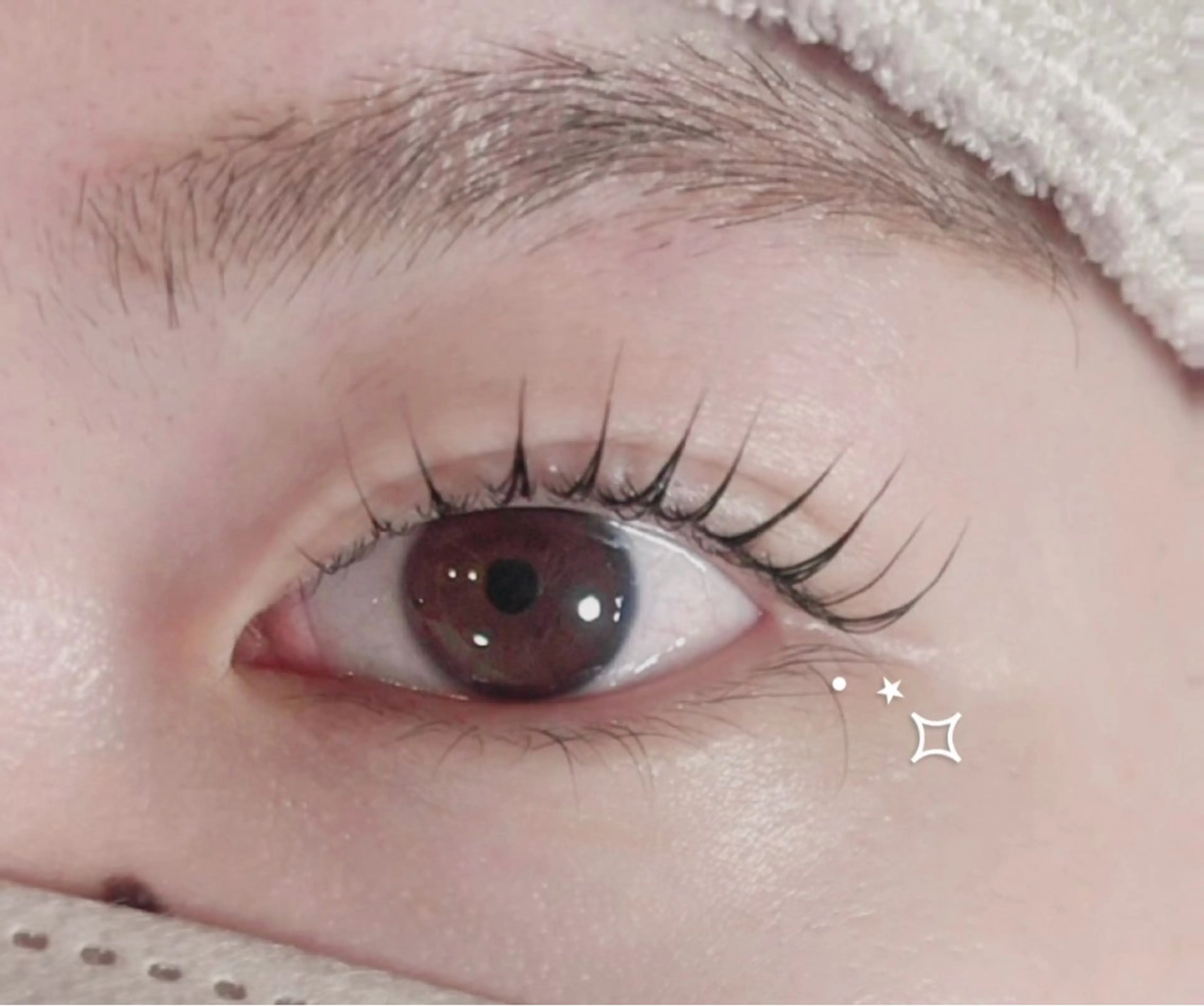 マツエク・マツパ マツパ マリーテレジア 🐨MIURAのマツエク・マツパデザイン