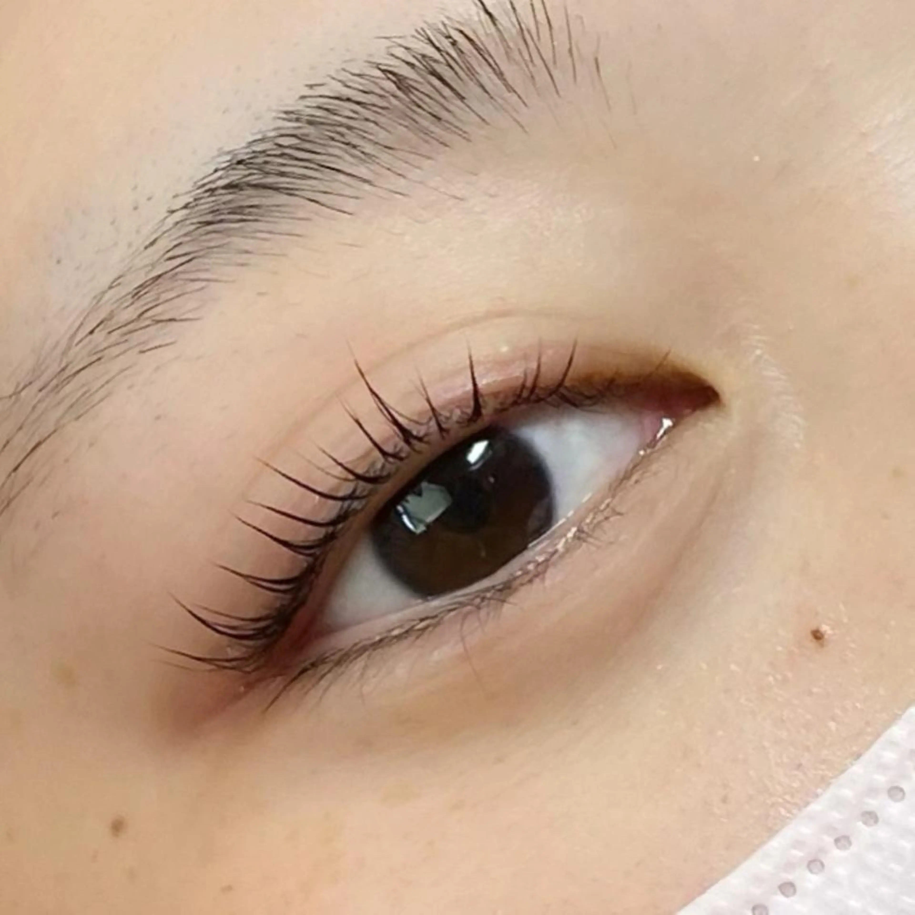 マツエク・マツパ エクレア金山駅前店所属・森川 未夢のマツエク・マツパデザイン