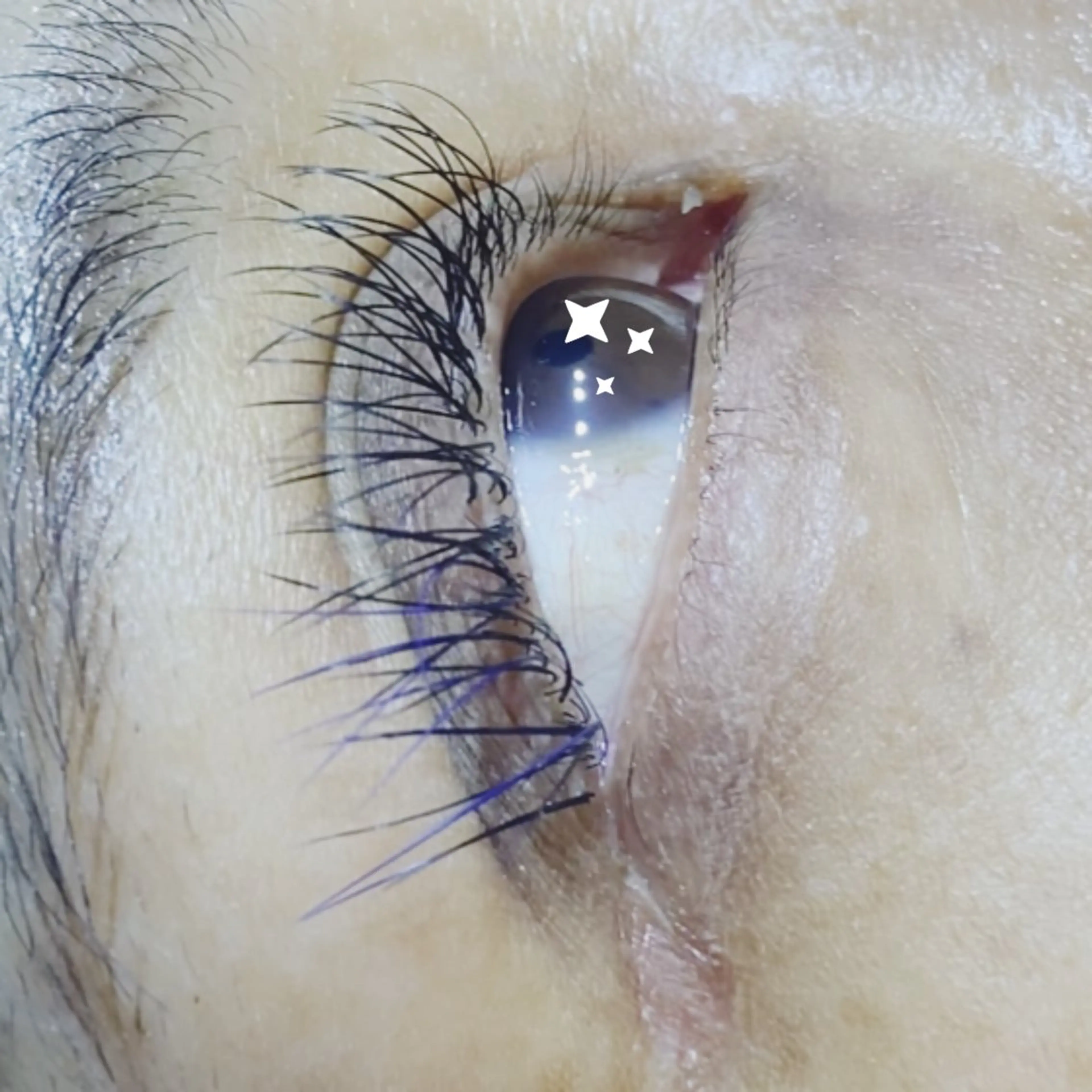 マツエク・マツパ Pinkganesh Eyelashのマツエク・マツパデザイン