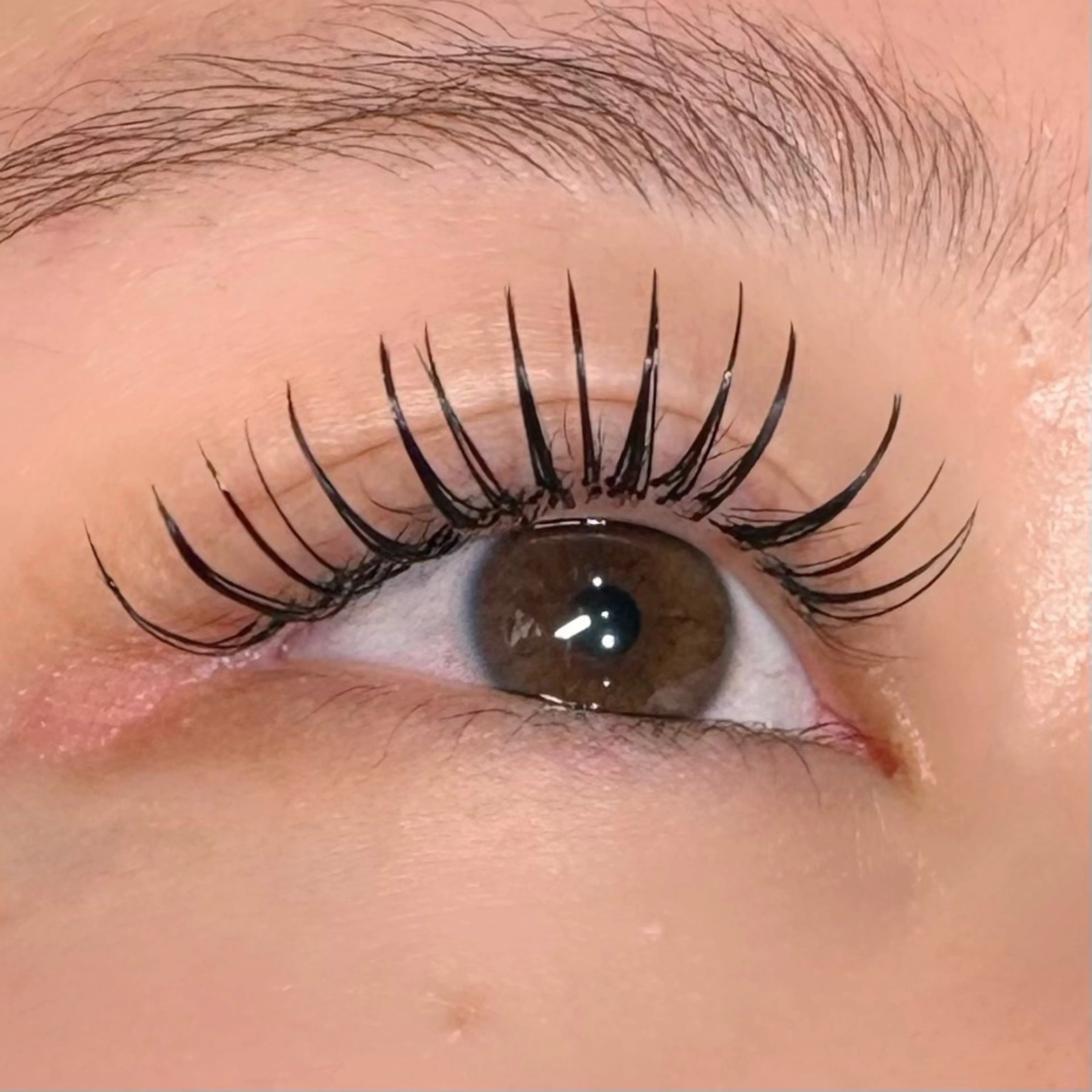 マツエク・マツパ マツエク . LISAのマツエク・マツパデザイン