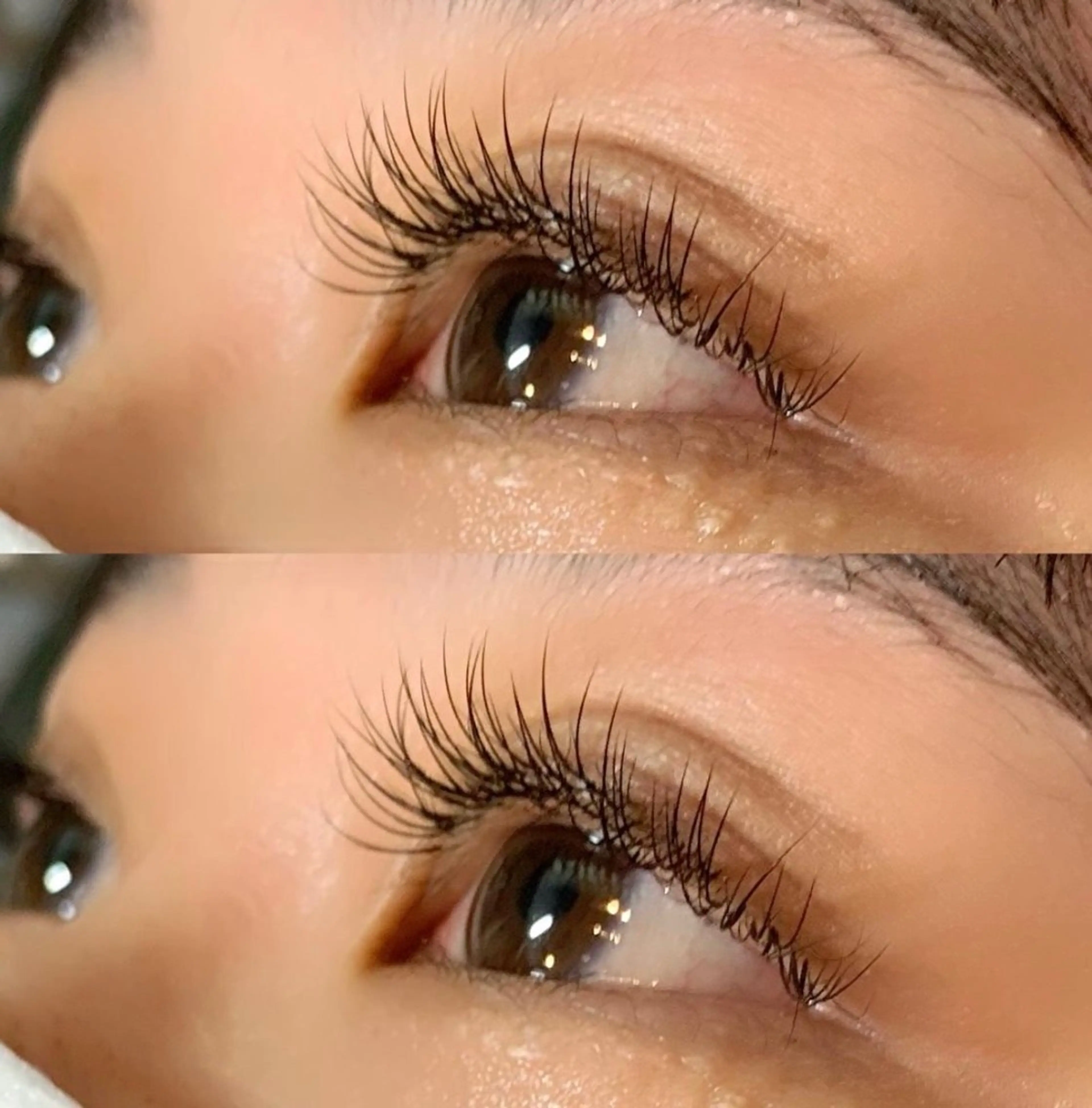 🧸🎀セーブルラッシュ120本🎀🧸の写真