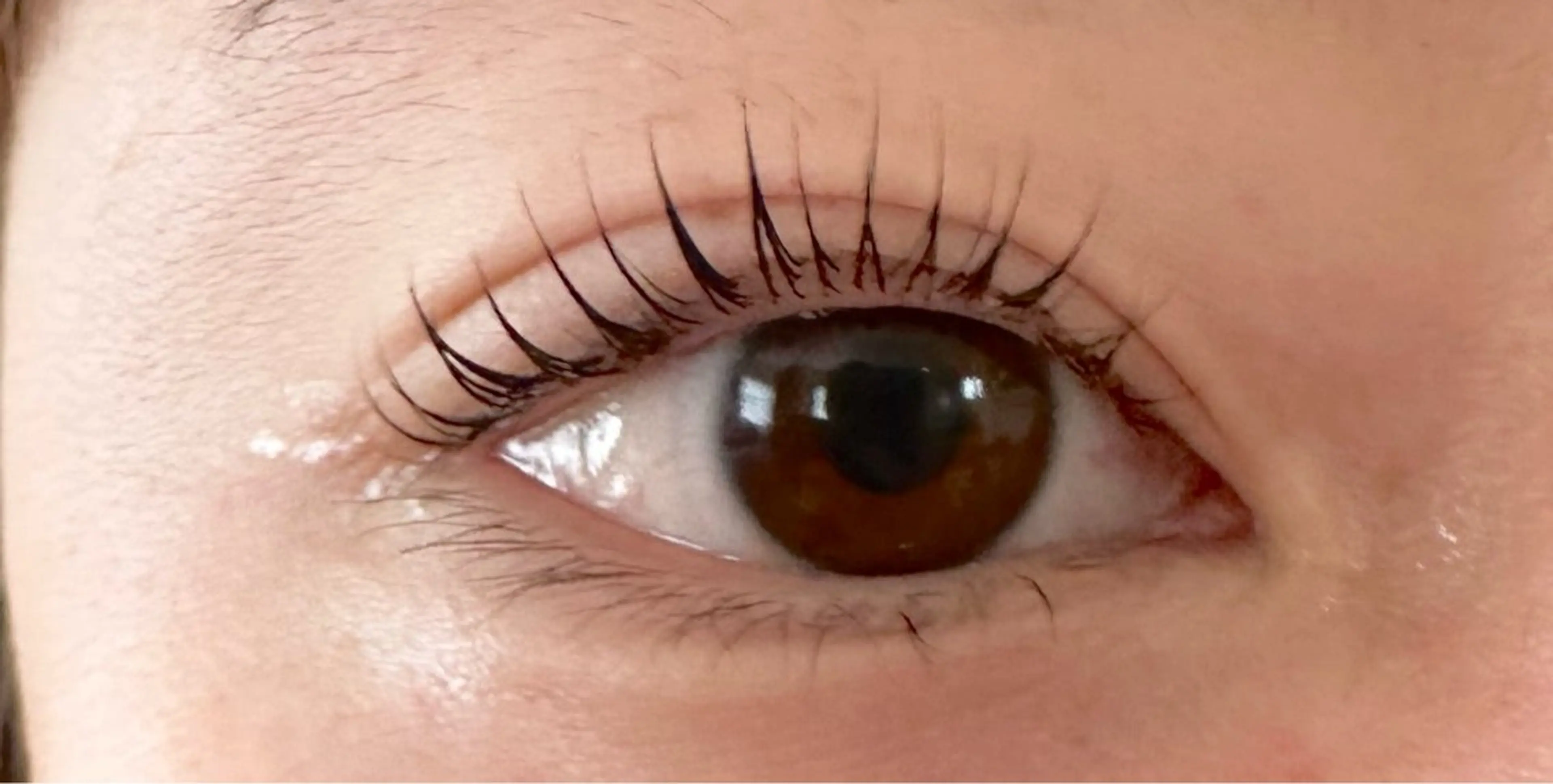 マツエク・マツパ aya 🫧の眉毛・アイブロウイメージ