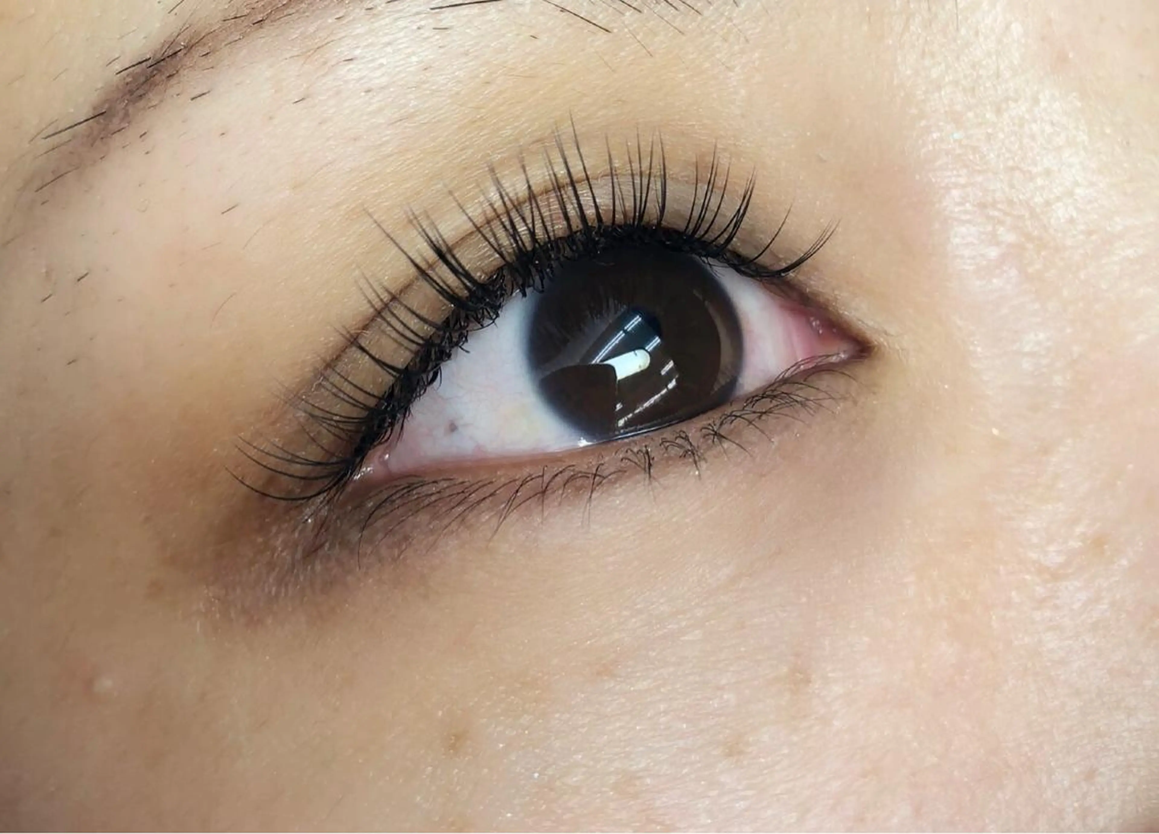 マツエク・マツパ Cカール Kira&Nico マツエク/まつパのエステ・リラクイメージ