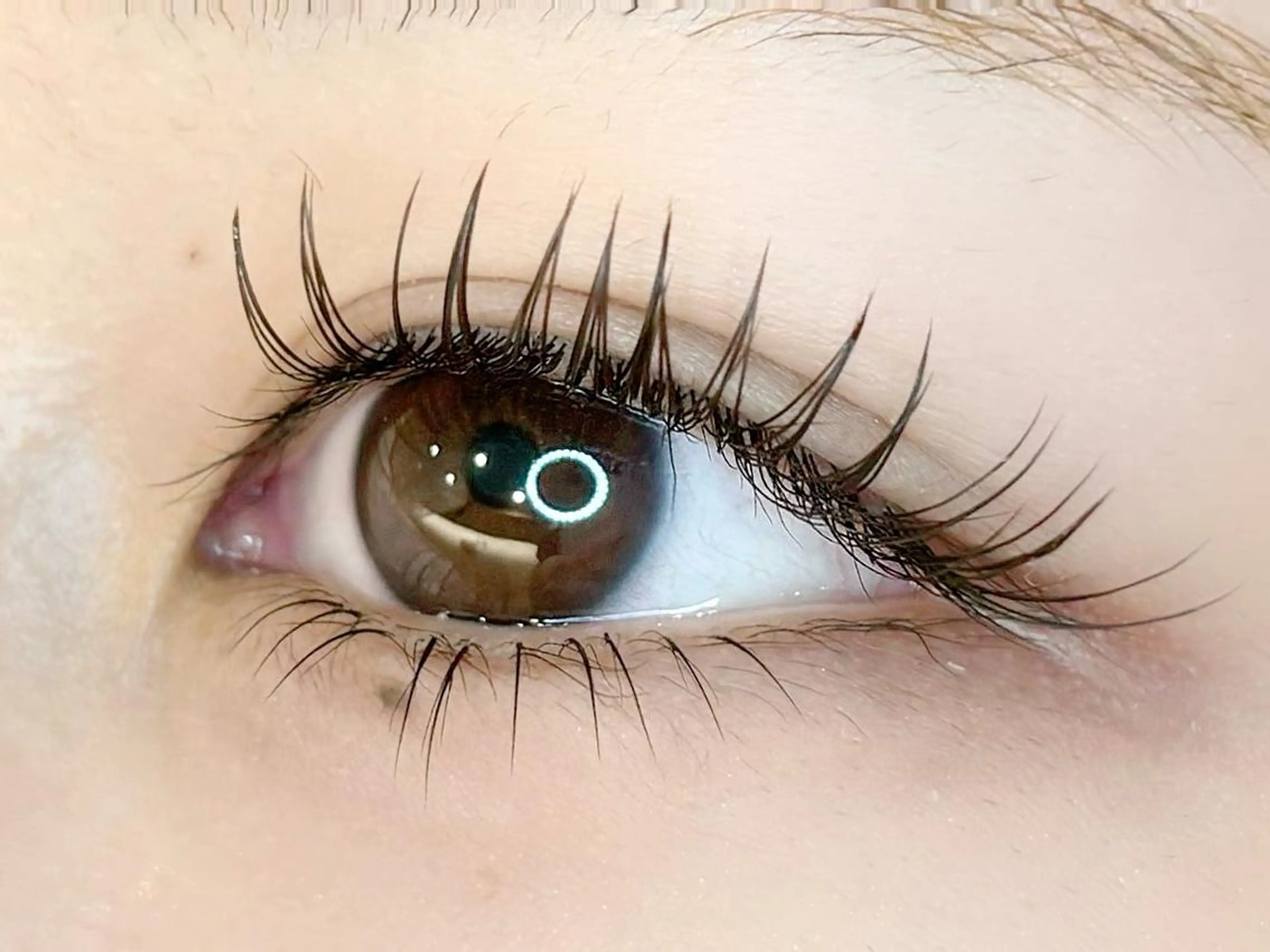 LEDまつエクモデル募集♡フラットラッシュ120本限定(オフ無しの方)の写真