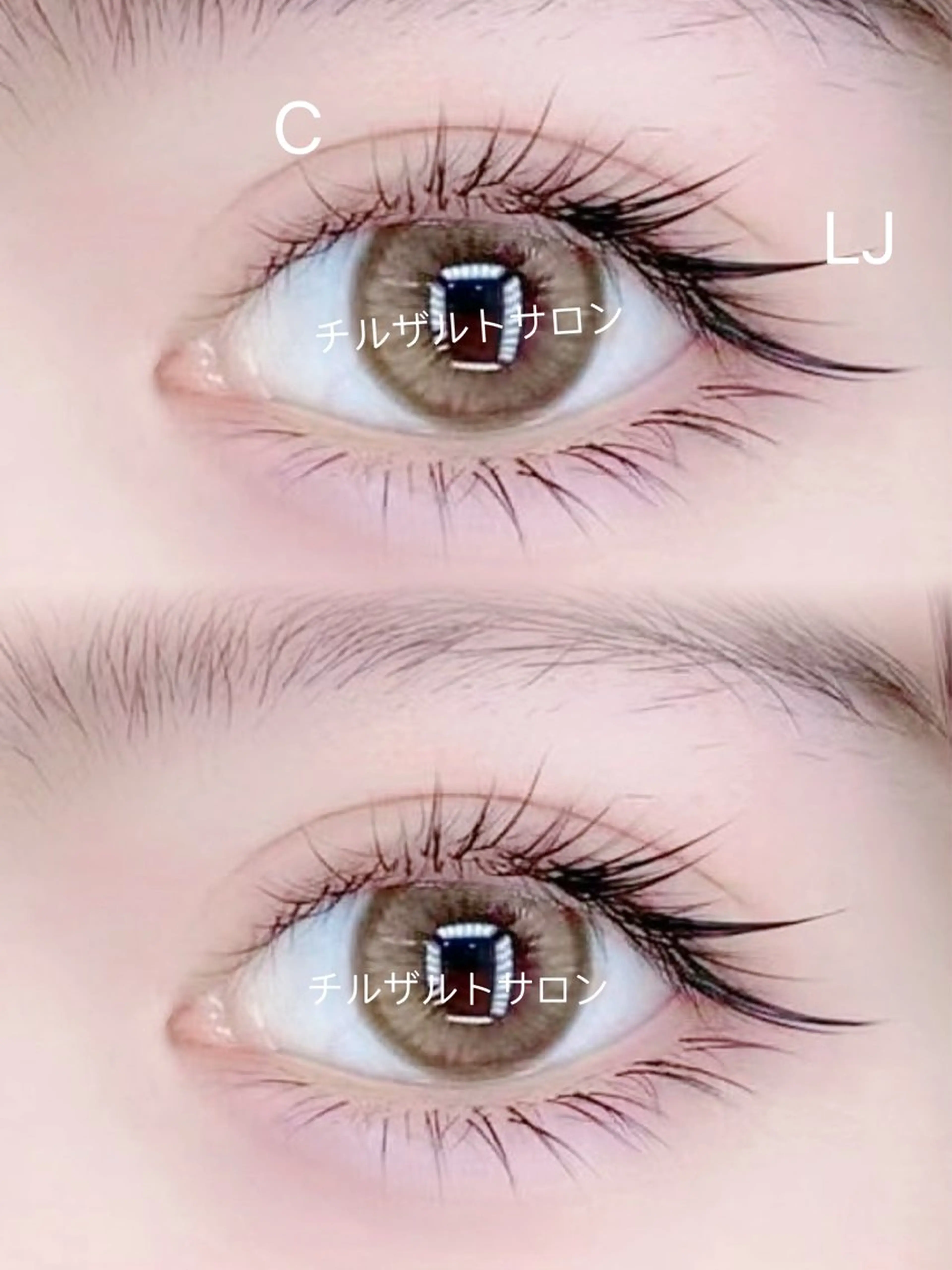 ワンホンデザイン400本(上のみ)の写真