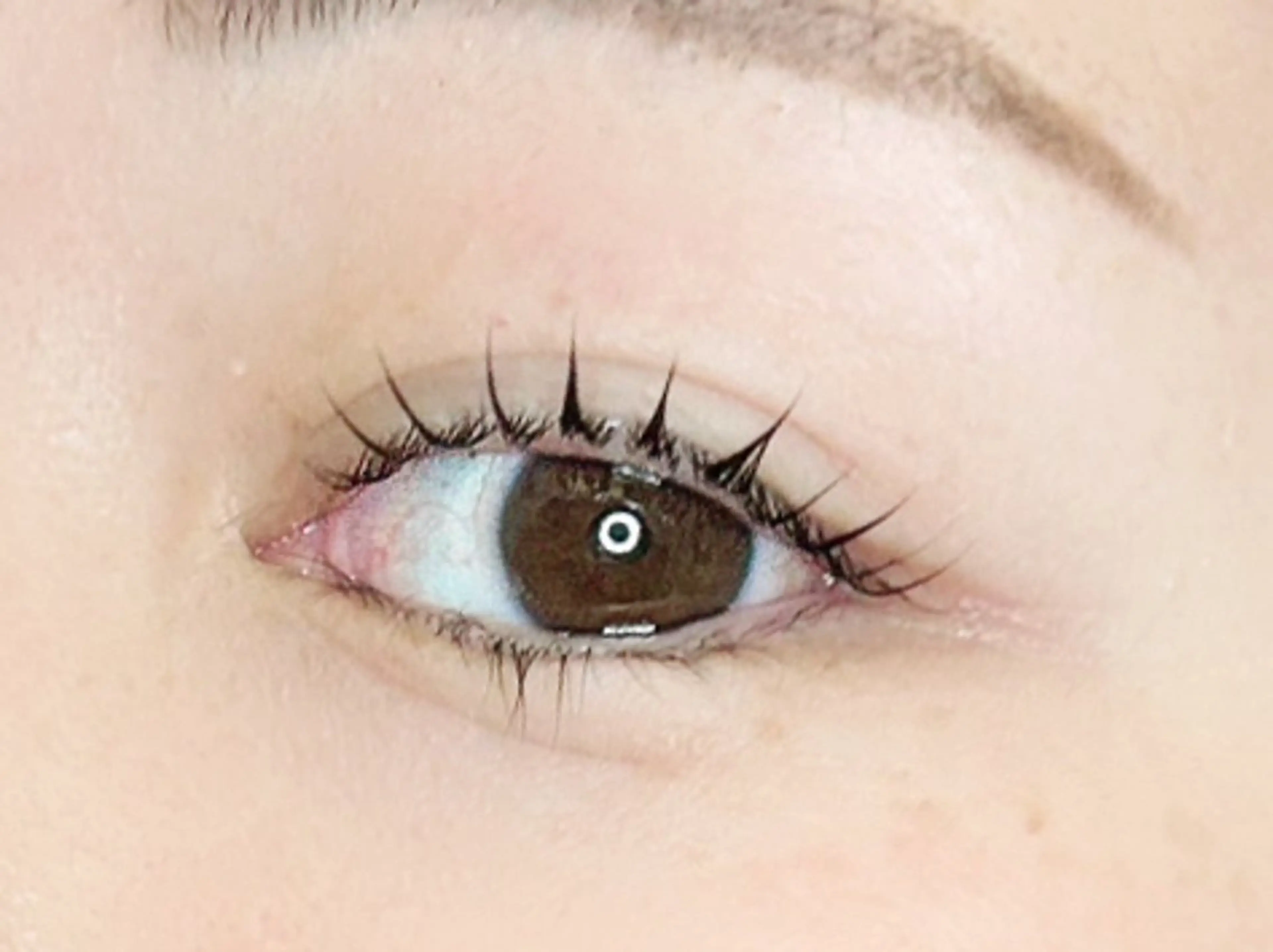 話題♡韓ドルパーマ♡韓国アイドル風まつ毛パーマ♡美容液束感仕上げ(ミニモ価格‼︎)の写真