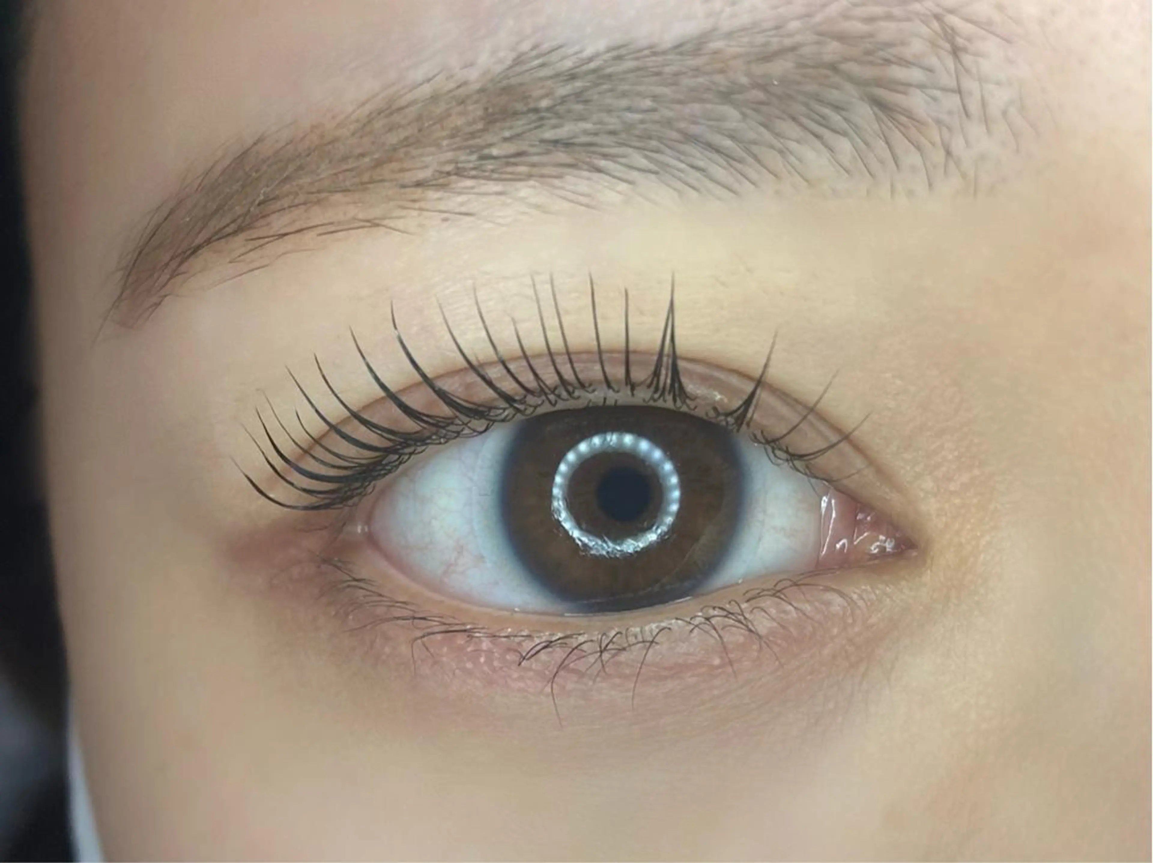 マツエク・マツパ マツパ Lupinus 長澤のマツエク・マツパデザイン