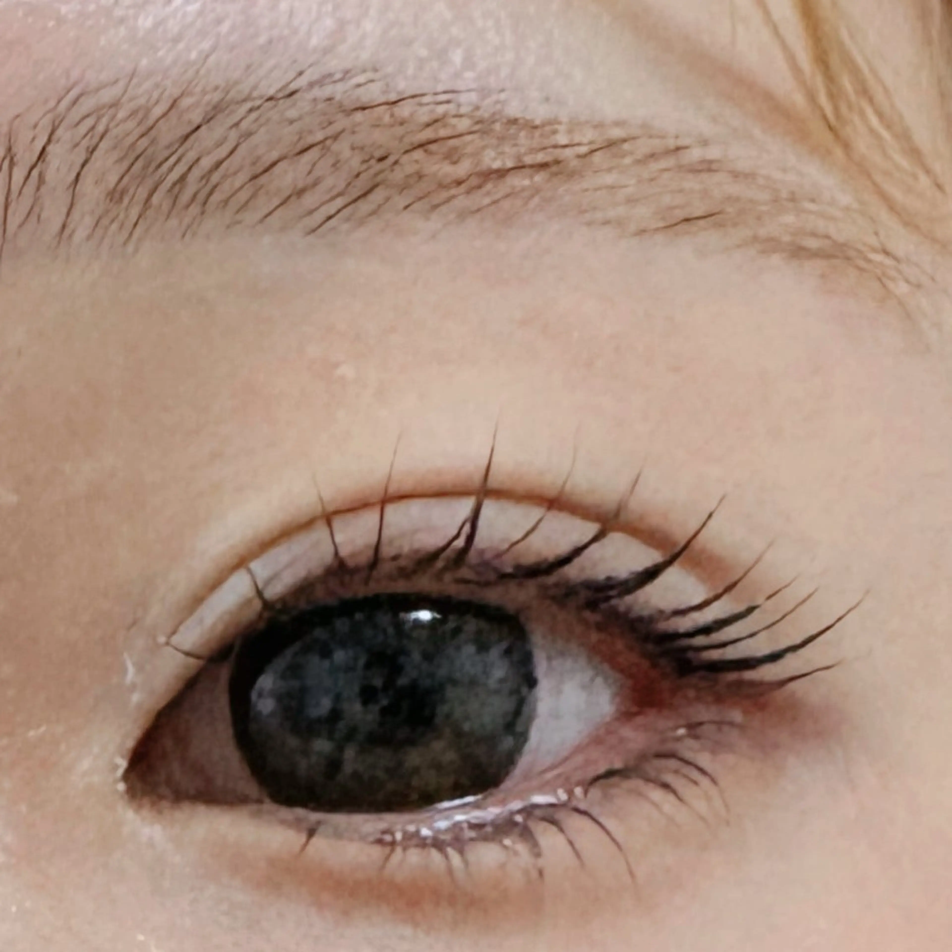 🎊まつげパーマ上のみ美容液付きの写真