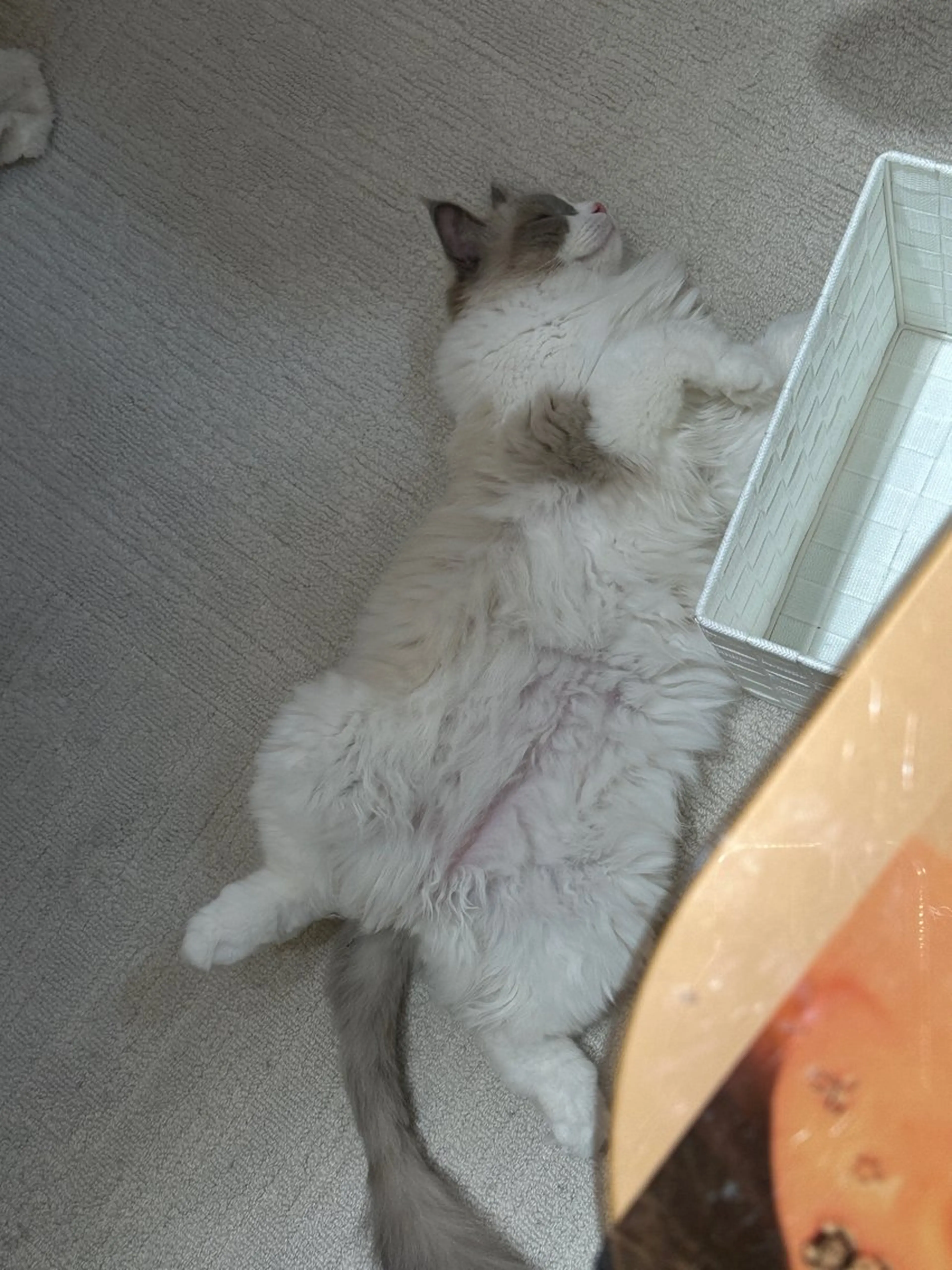 ネイル Sun Nail 池袋のネイルデザイン