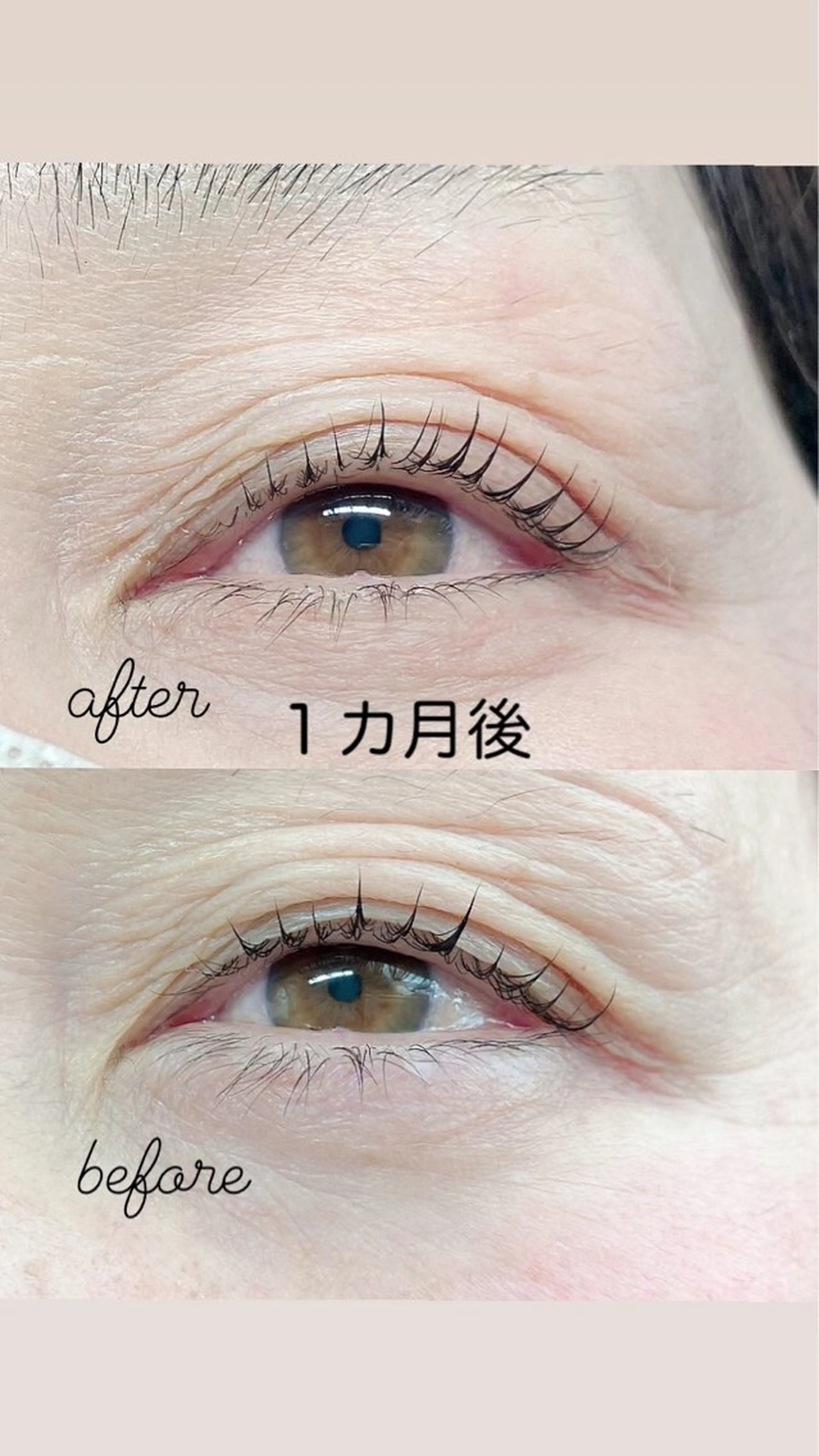 マツエク・マツパ 岩田 朝美の眉毛・アイブロウイメージ