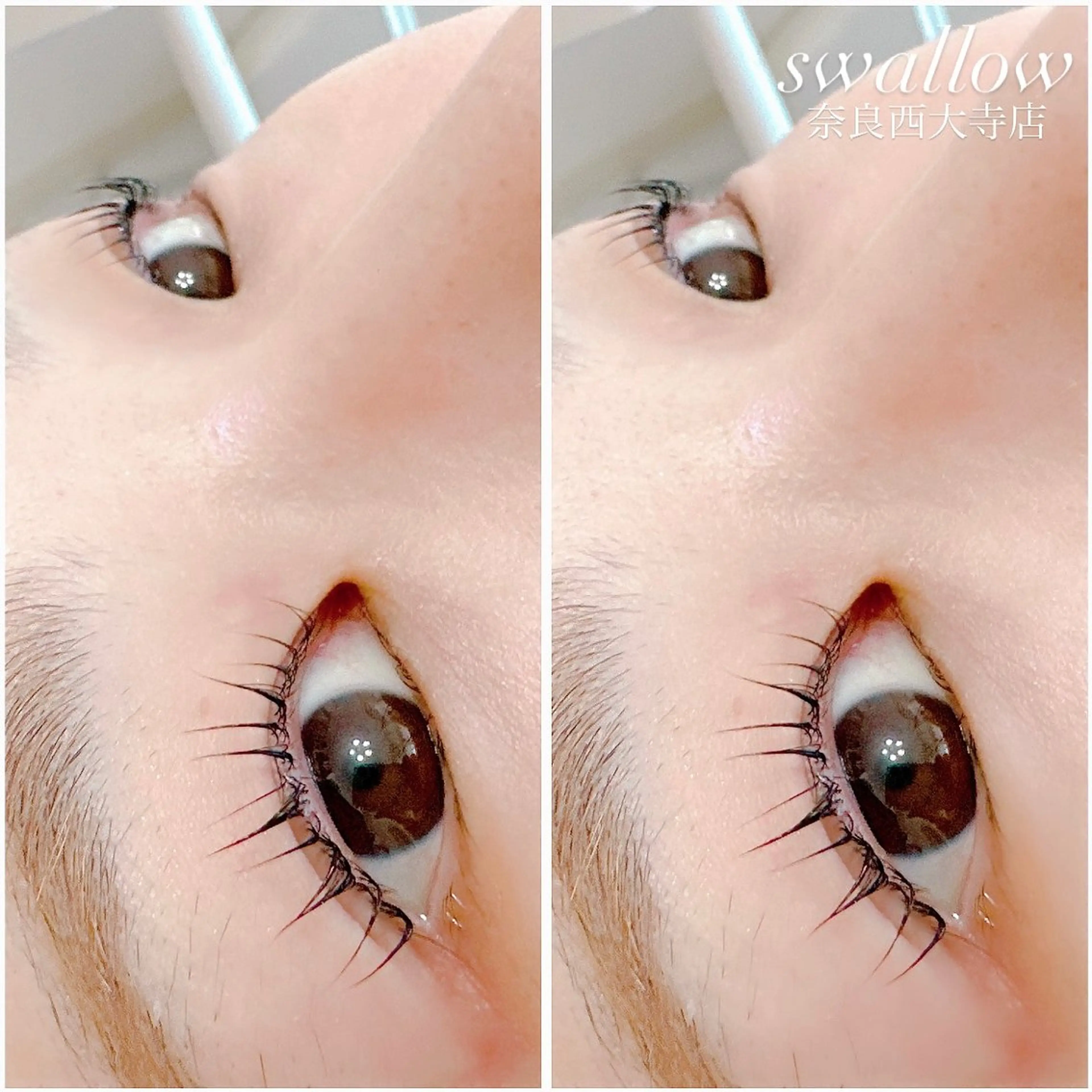 マツエク・マツパ swallow 奈良西大寺店のマツエク・マツパデザイン