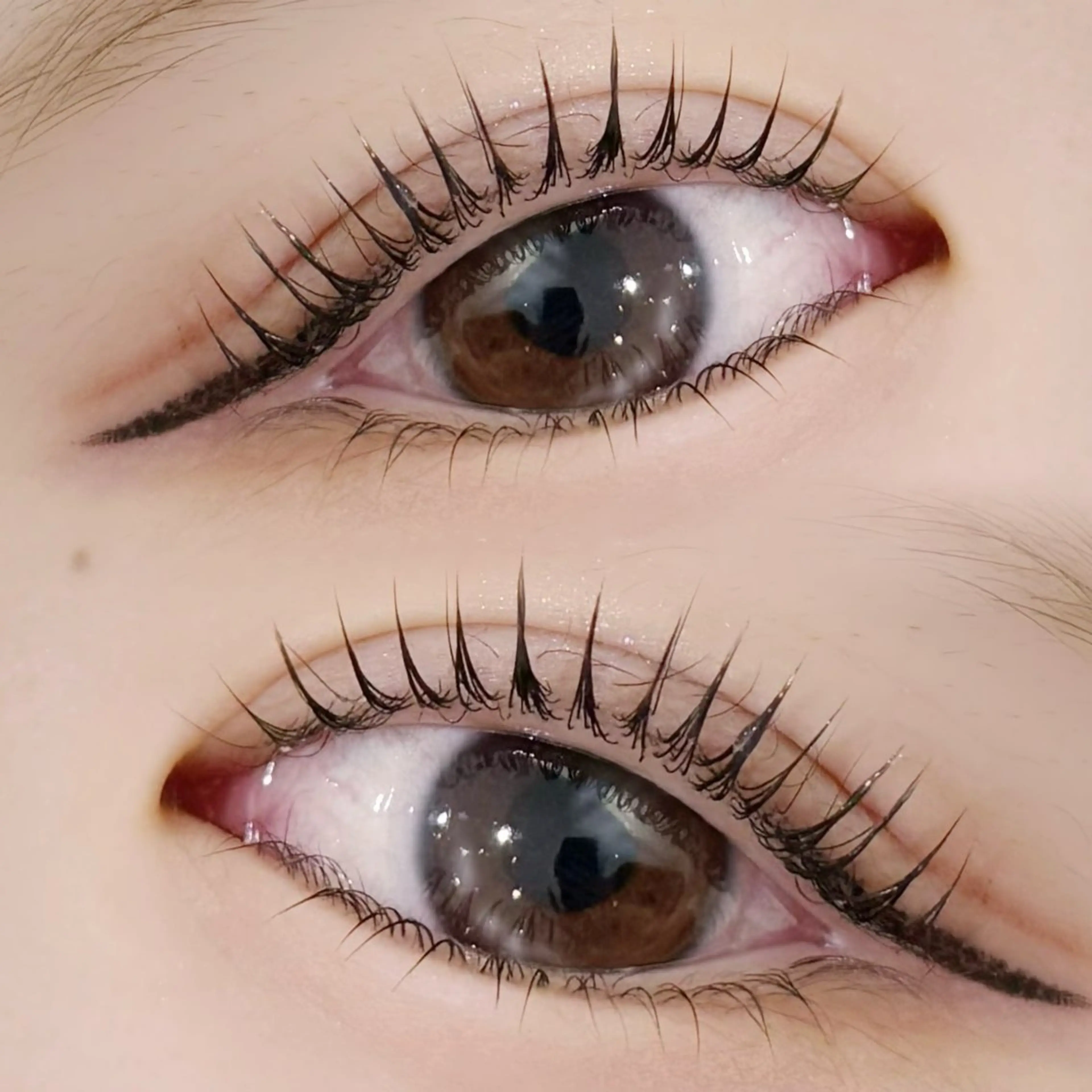 マツエク・マツパ マツパ 1月31日退社 深澤もものマツエク・マツパデザイン