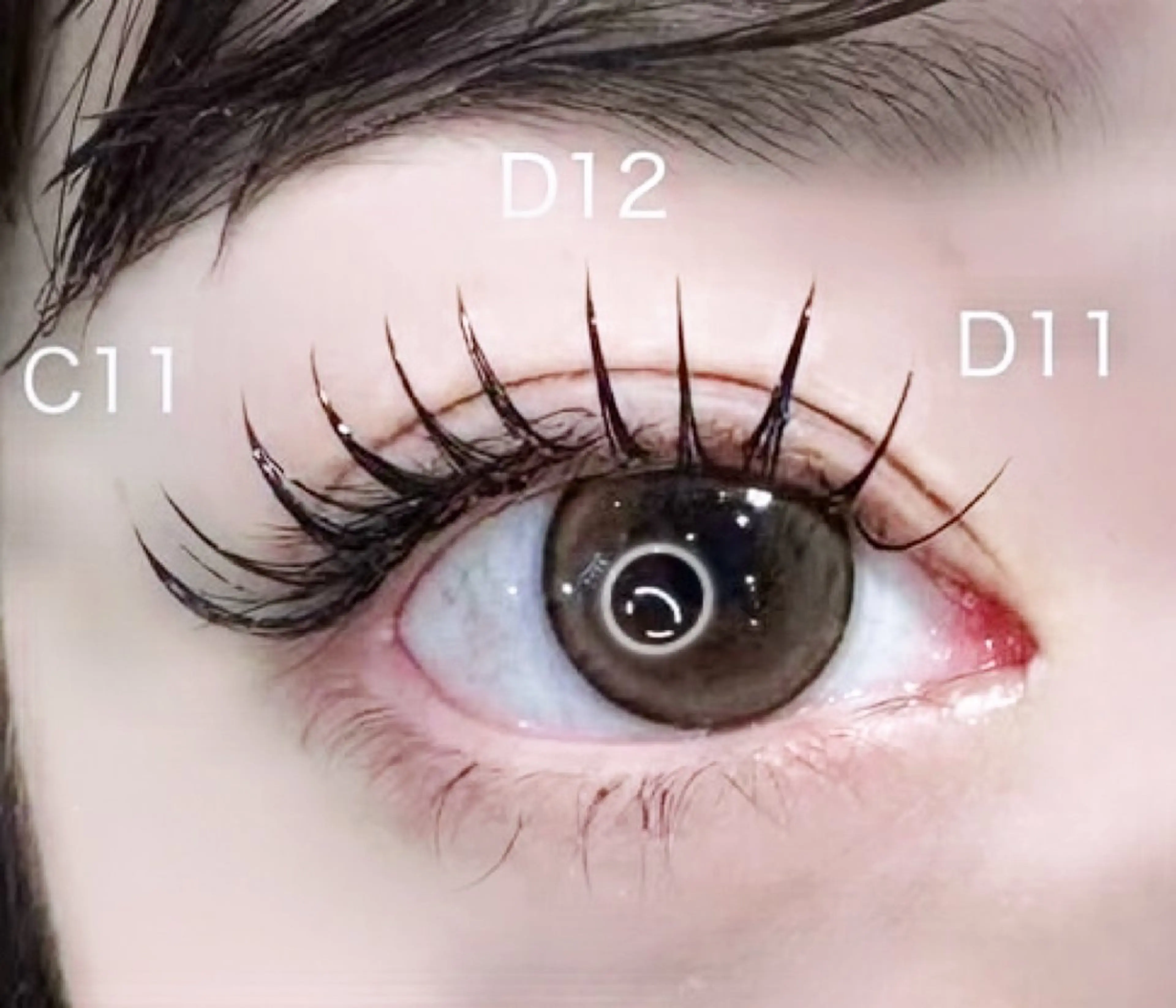 🎀🧸上まつ毛エクステ100本🧸🎀本数追加相談🉑 【コーティングトリートメント付き】の写真