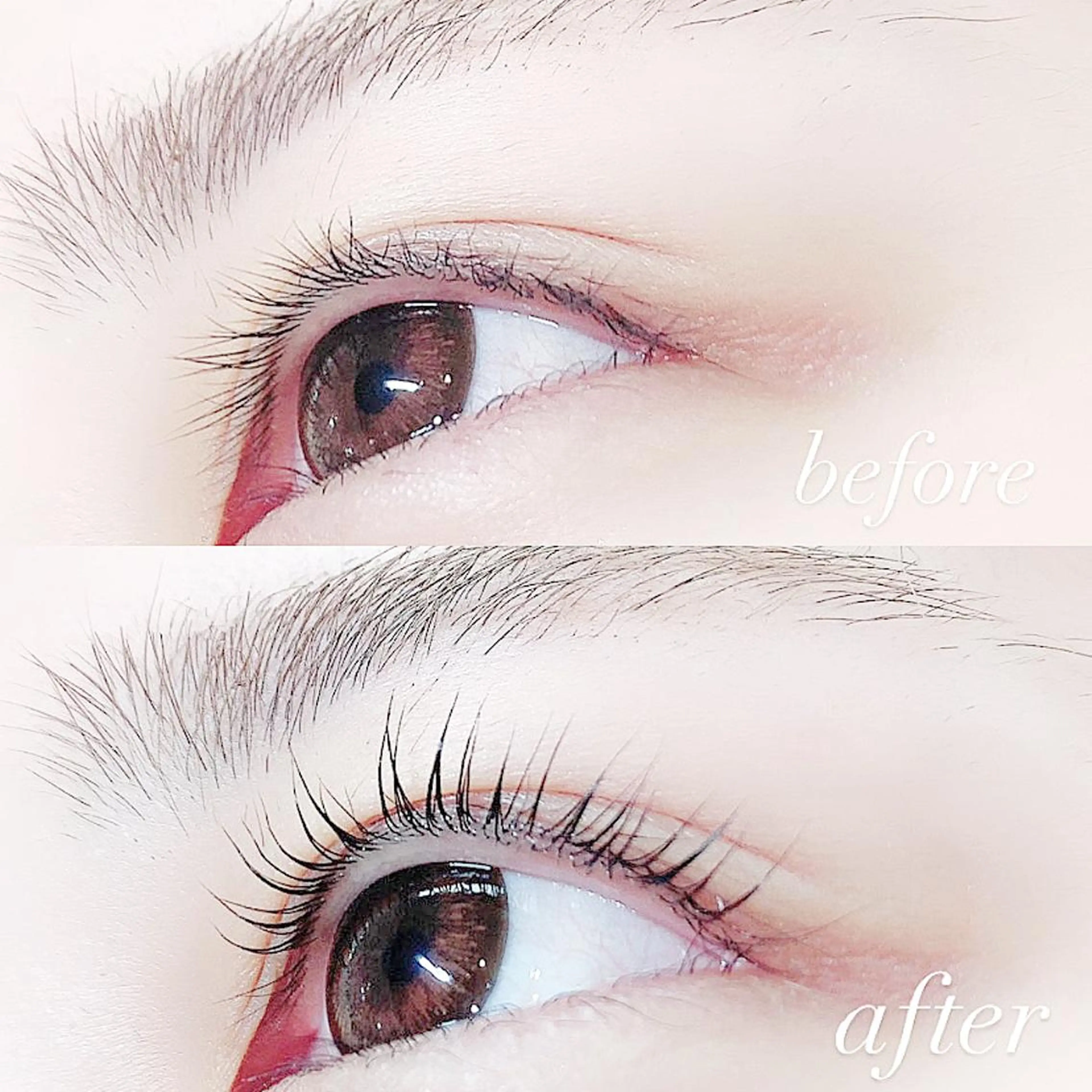 マツエク・マツパ まつげパーマ Lanhr所属・【Lanhr】 🕊aya🕊のマツエク・マツパデザイン