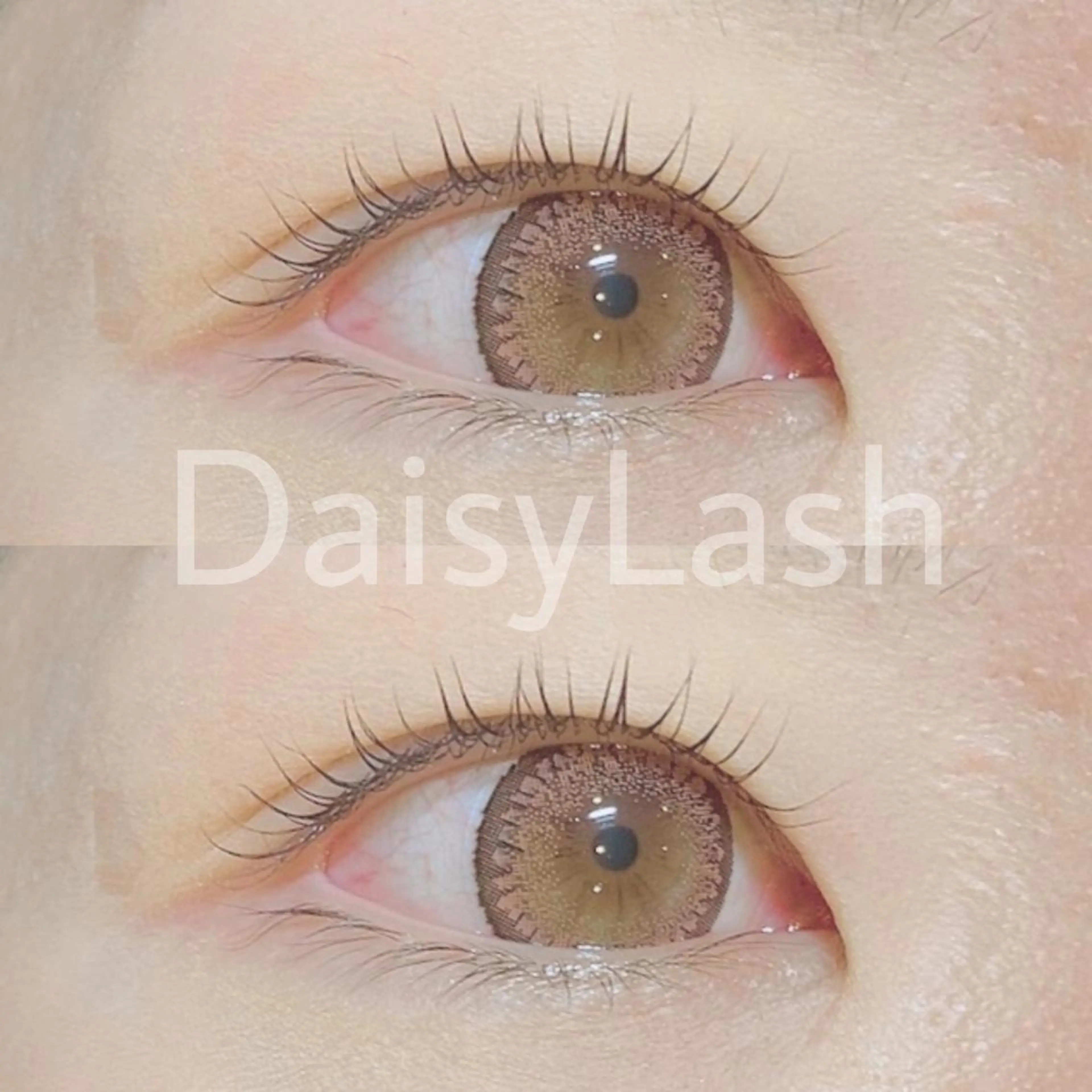 マツエク・マツパ DaisyLash 京橋店のマツエク・マツパデザイン