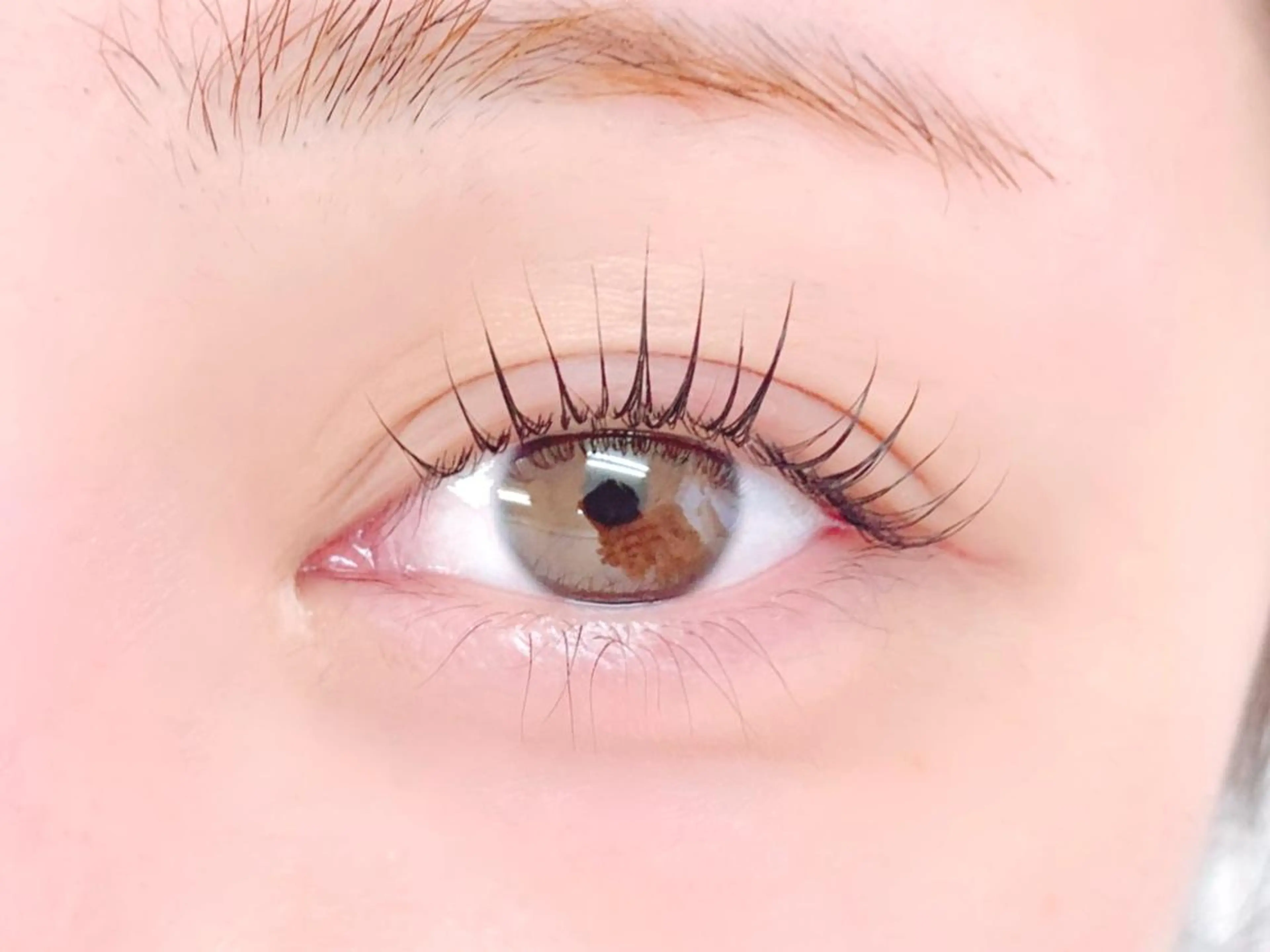 デザインラッシュリフト　¥6,600→¥6,000の写真