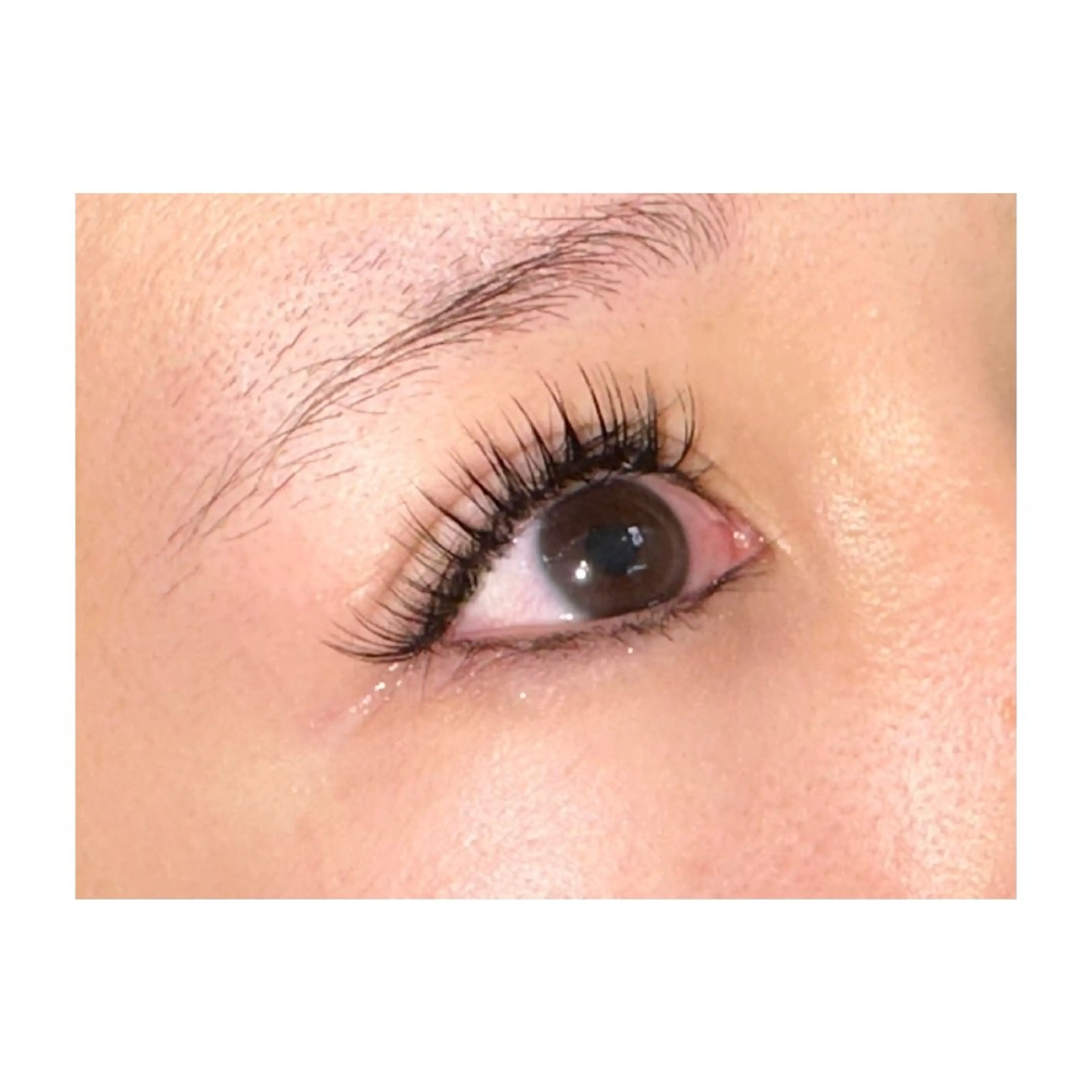 ボリュームラッシュ100束の写真