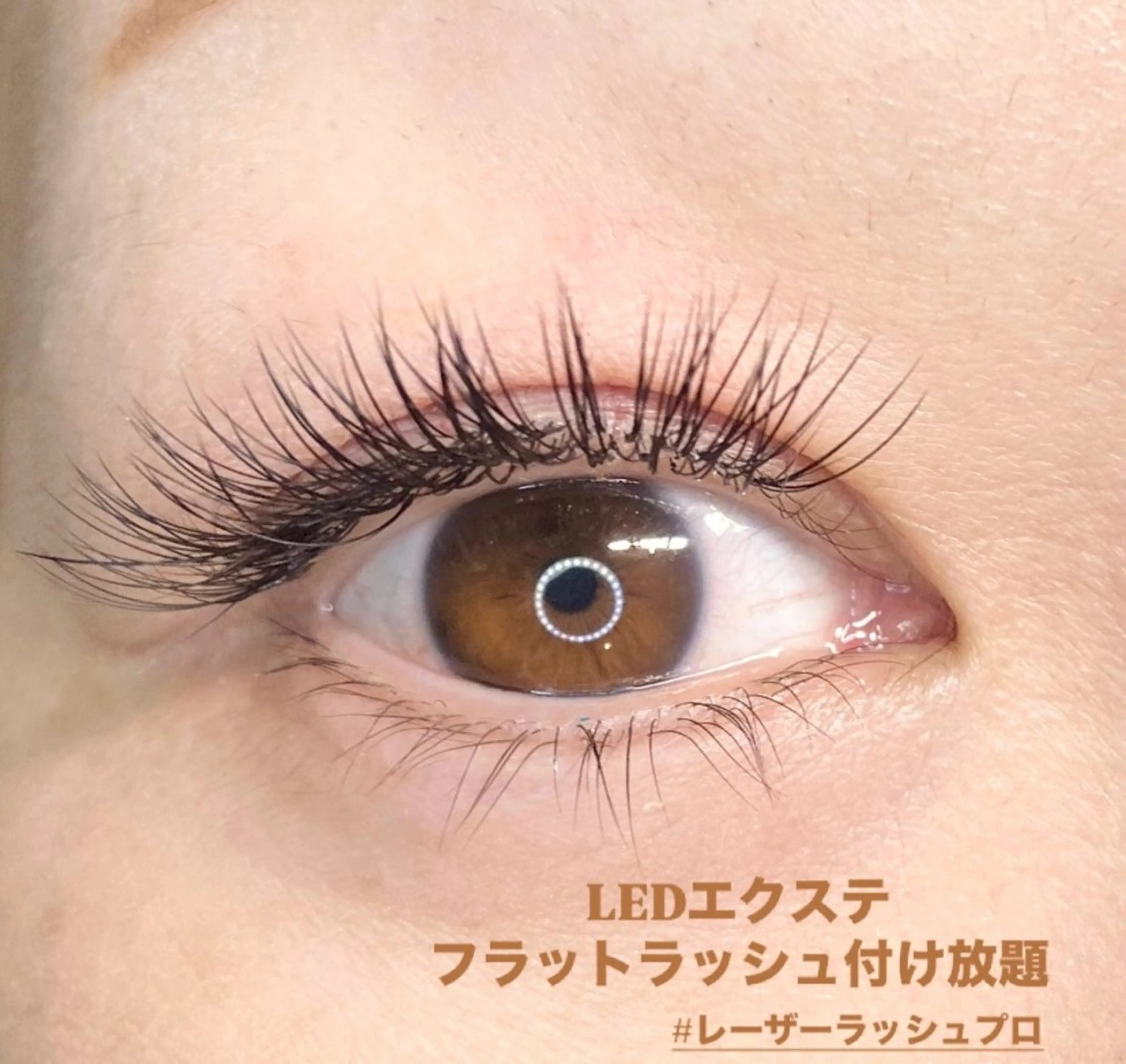 マツエク・マツパ LEDエクステ専門店 Fedis 京橋のマツエク・マツパデザイン