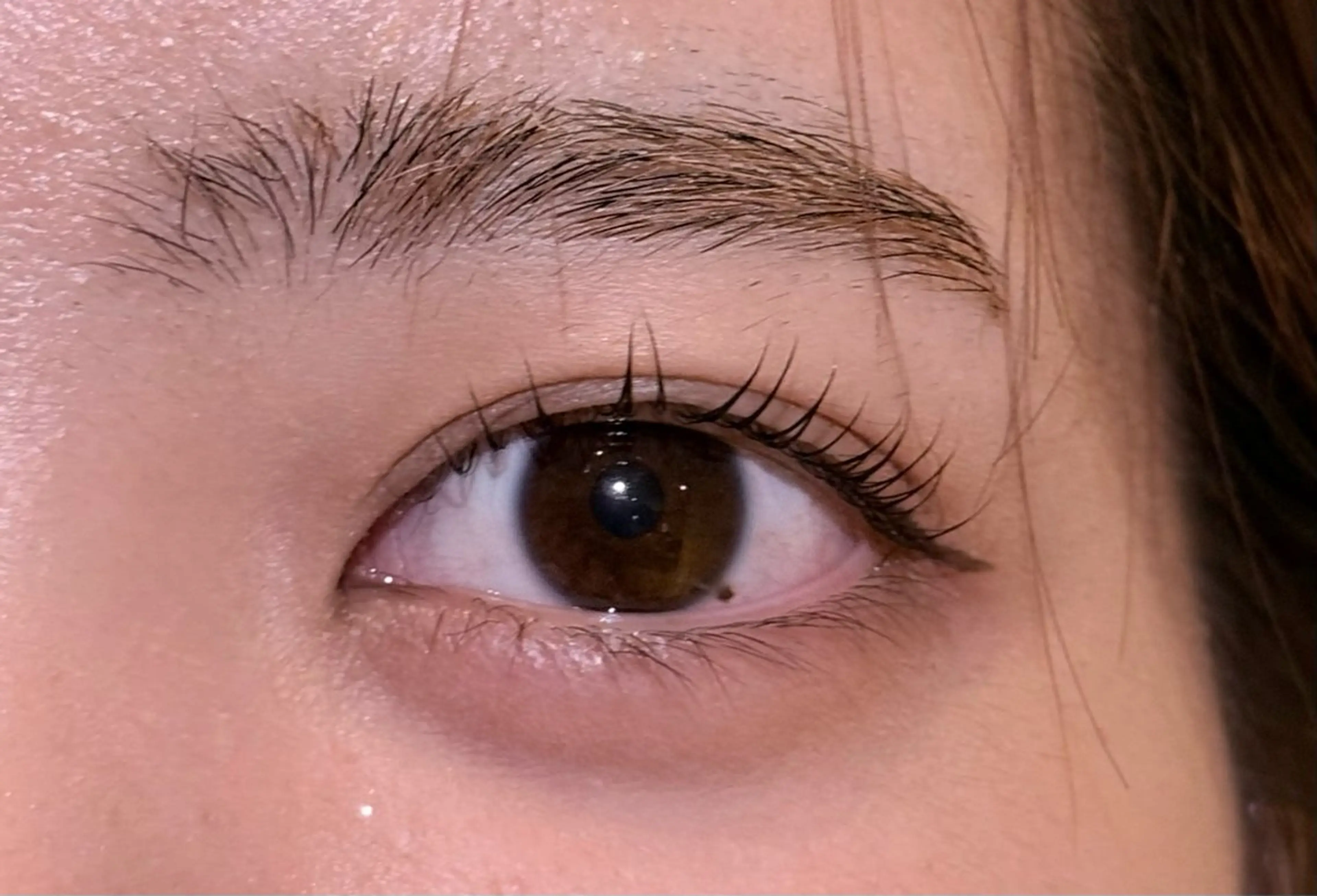 🩷まつげパーマ🩷(上のみ)➕コーティング仕上げの写真