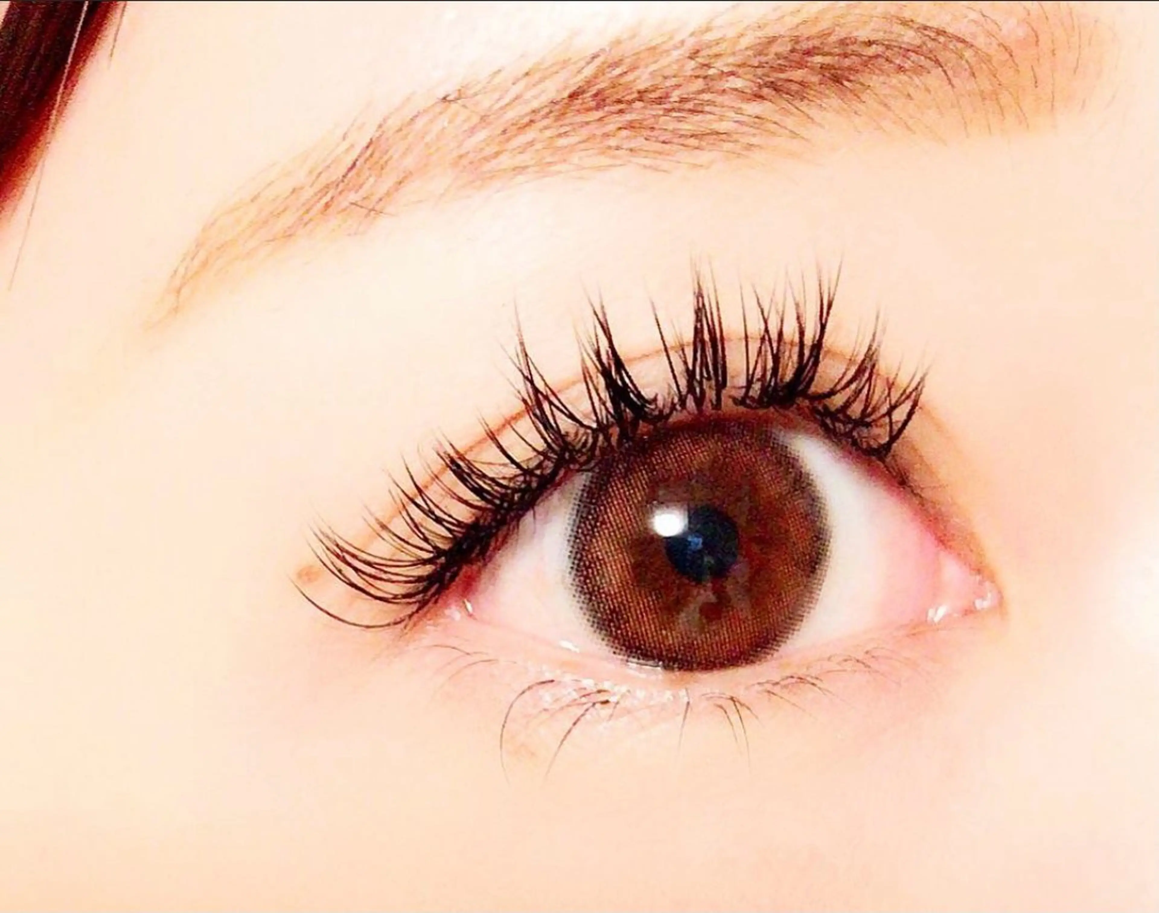 ボリュームラッシュ８０束の写真