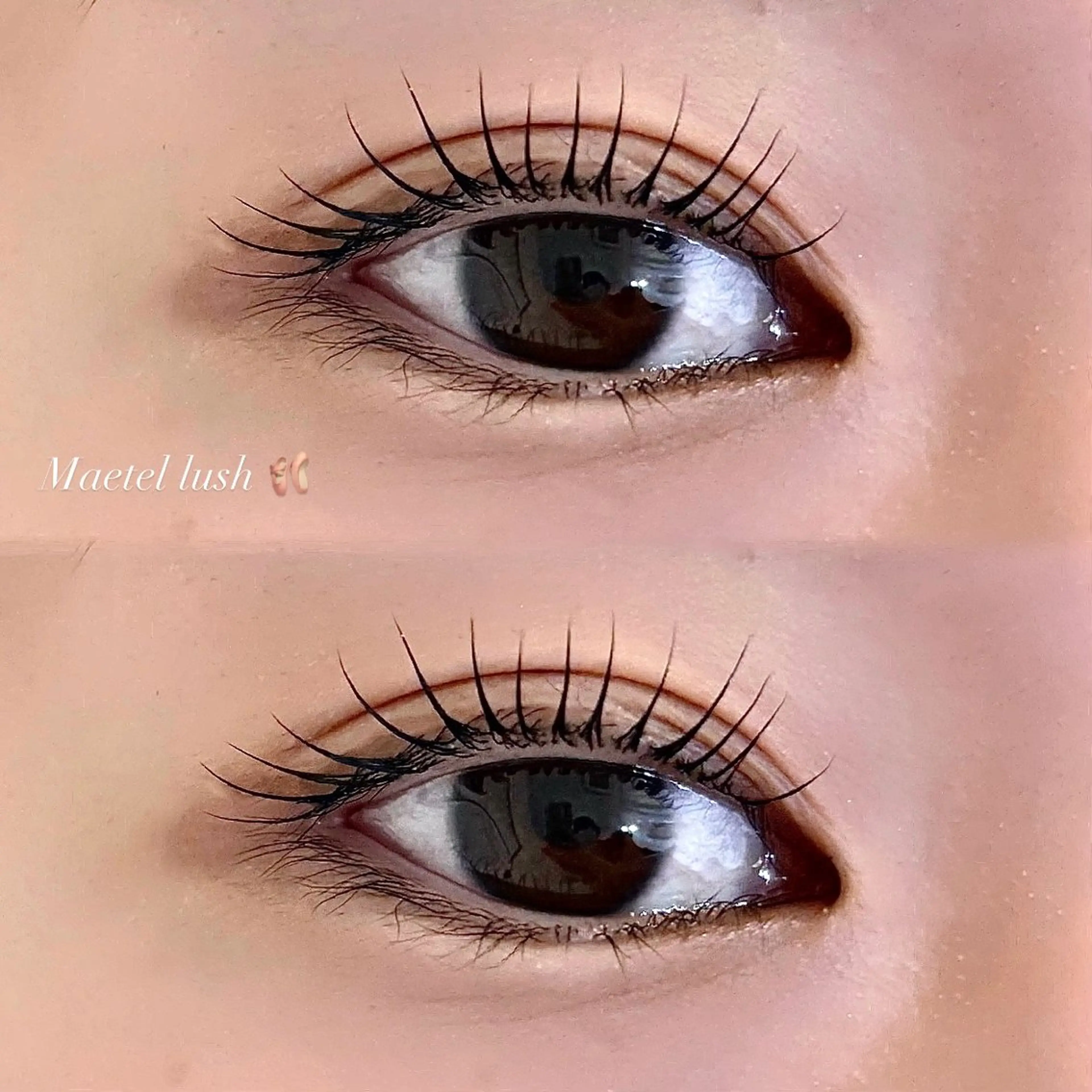 《パリジェンヌorメーテル》🩶コーティング仕上げ付き🫧の写真