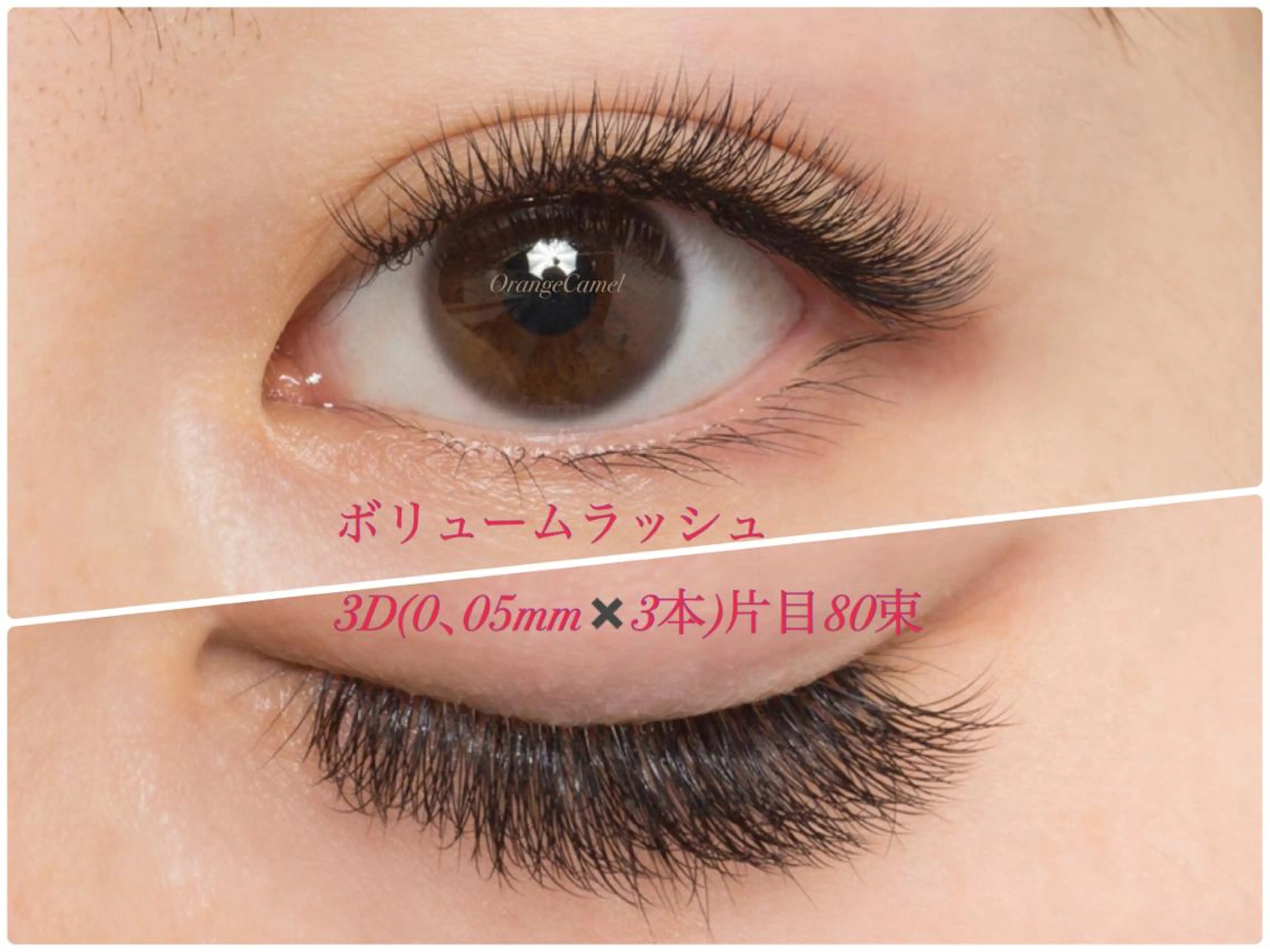 初回🍀ナチュラル ボリュームラッシュ❤︎3D(0､06✖️3本)100束Cカール長さ❤︎デザイン選べる🌟上級者施術の写真