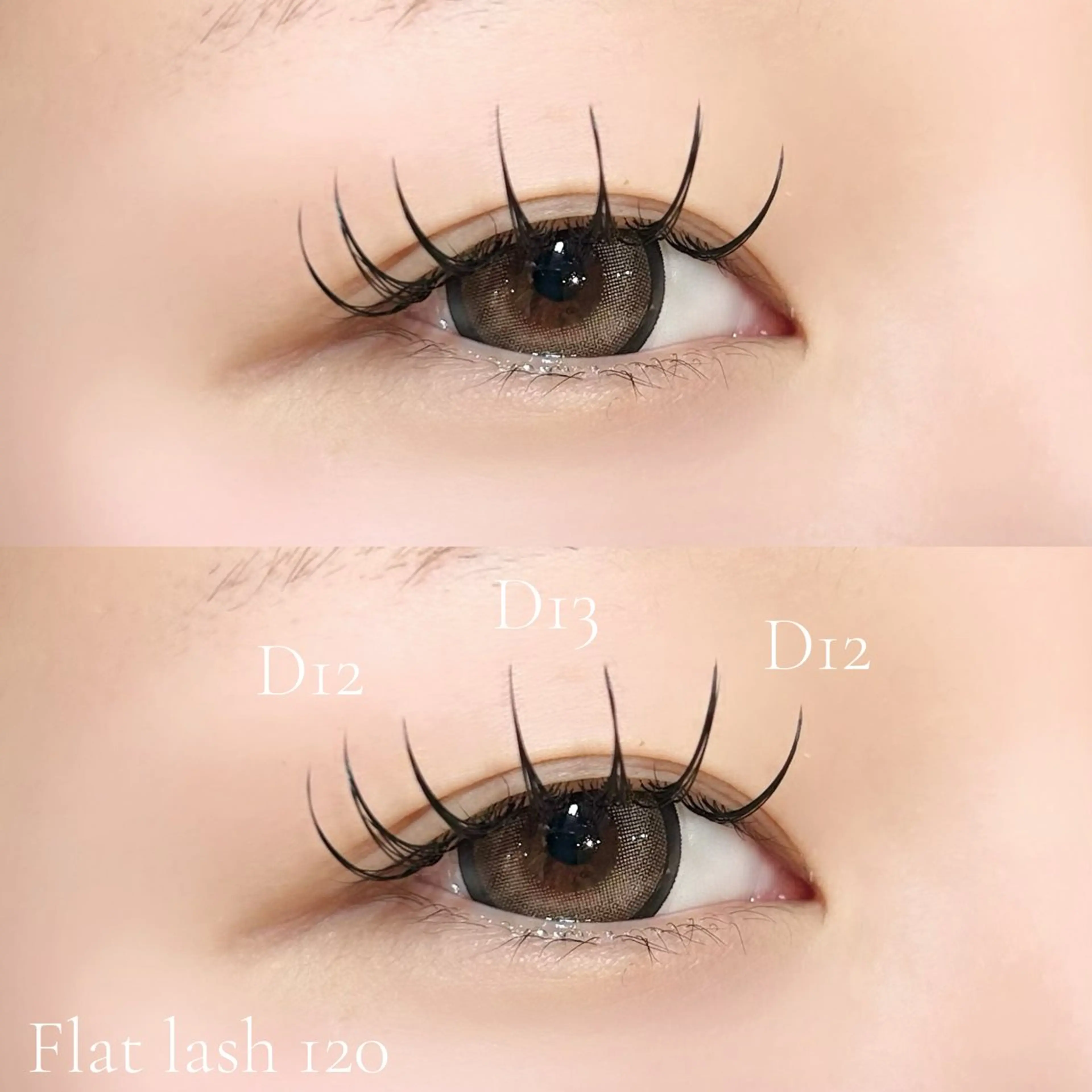 【ご新規様限定】フラットラッシュ140本“オフ無し”(LEDエクステ+¥1100)の写真