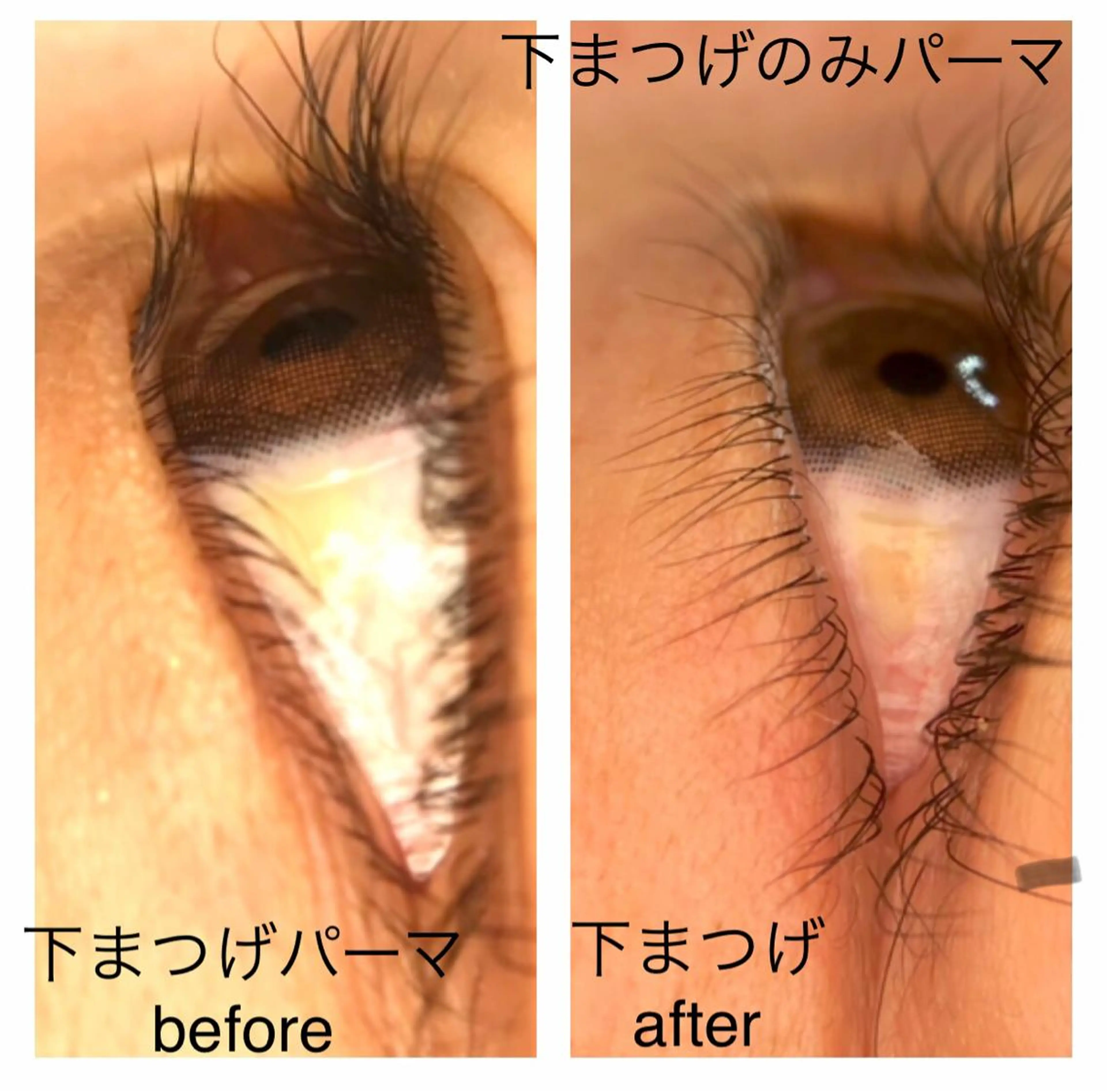 マツエク・マツパ 下まつげエクステ リアン SAORIのマツエク・マツパデザイン