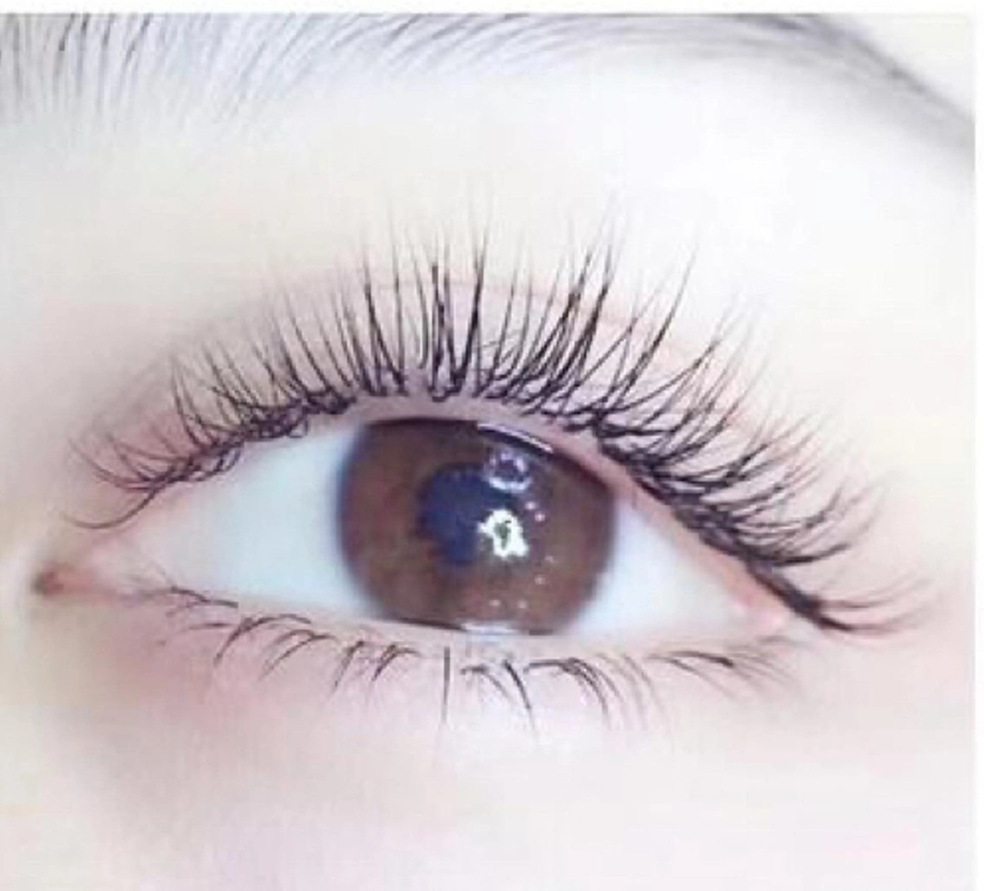 マツエク・マツパ マツエク 羽賀 美和のマツエク・マツパデザイン