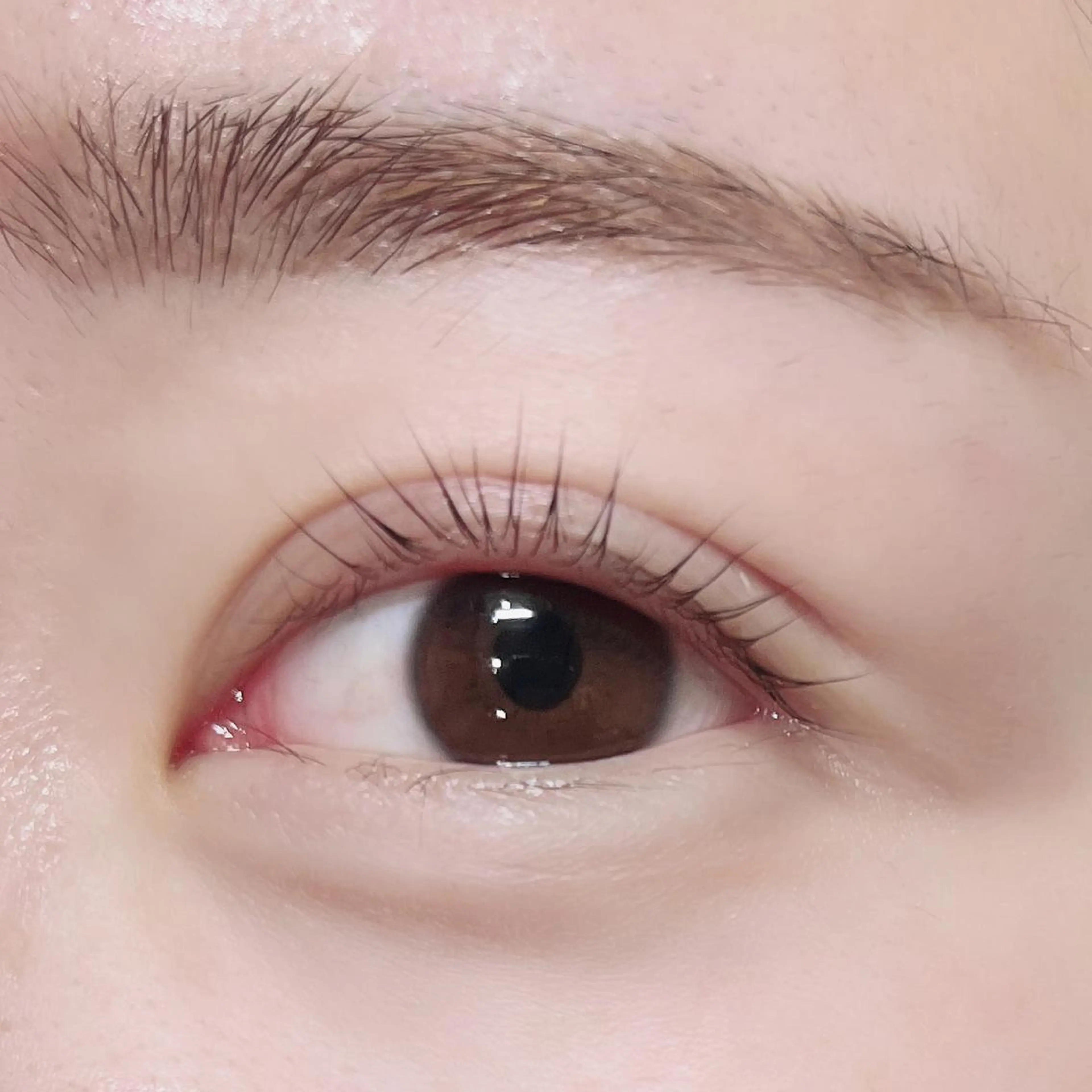 マツエク・マツパ パリジェンヌラッシュリフト マツパ Veil ayakaのマツエク・マツパデザイン