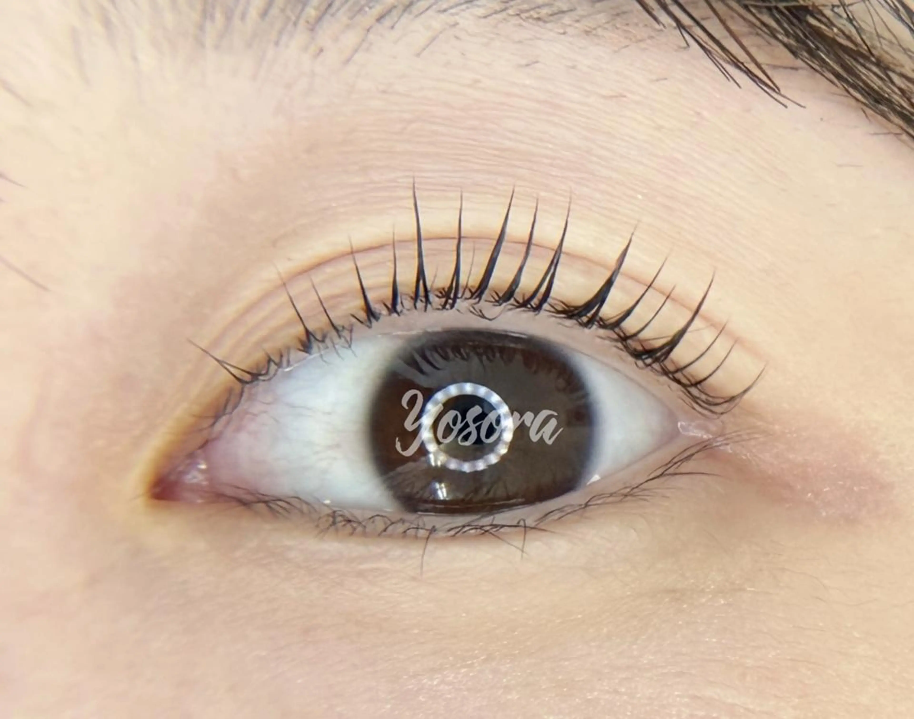 マツエク・マツパ パリジェンヌラッシュリフト マツパ 浅草橋 Yosoraのマツエク・マツパデザイン